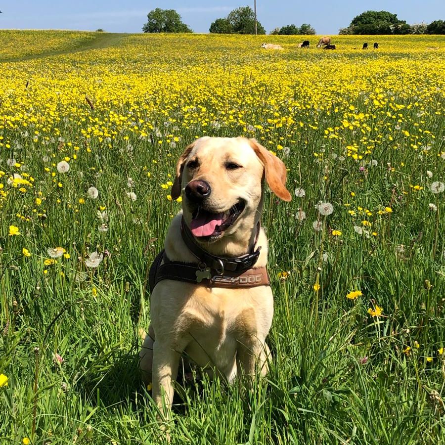 Oakley