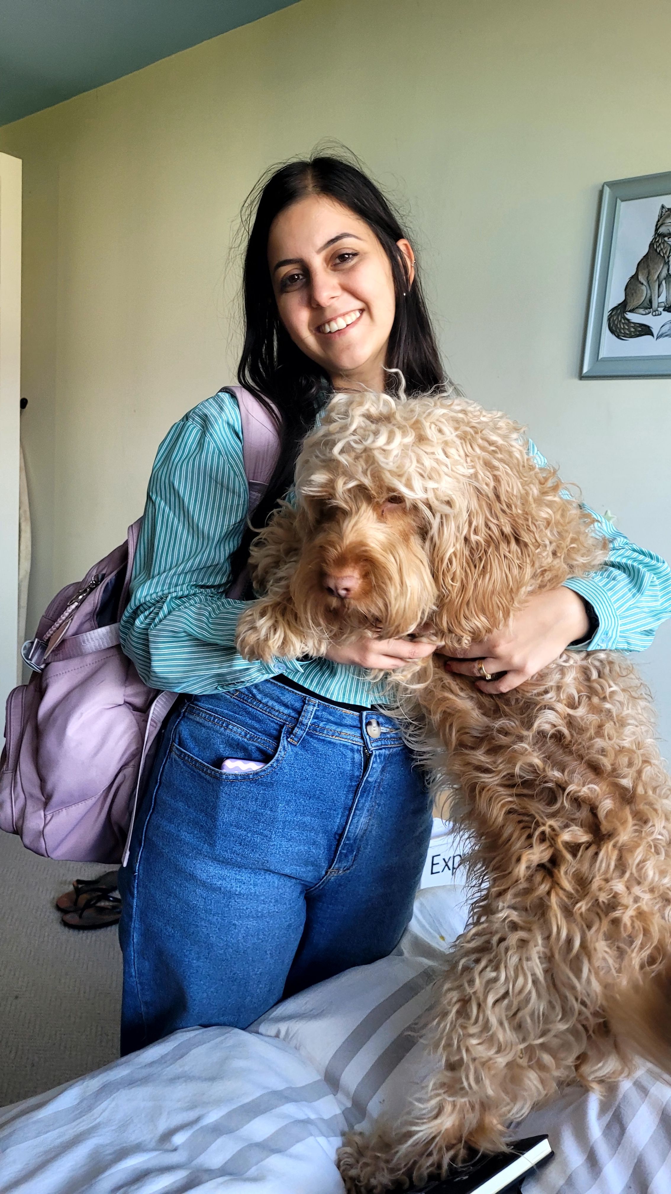 image-5