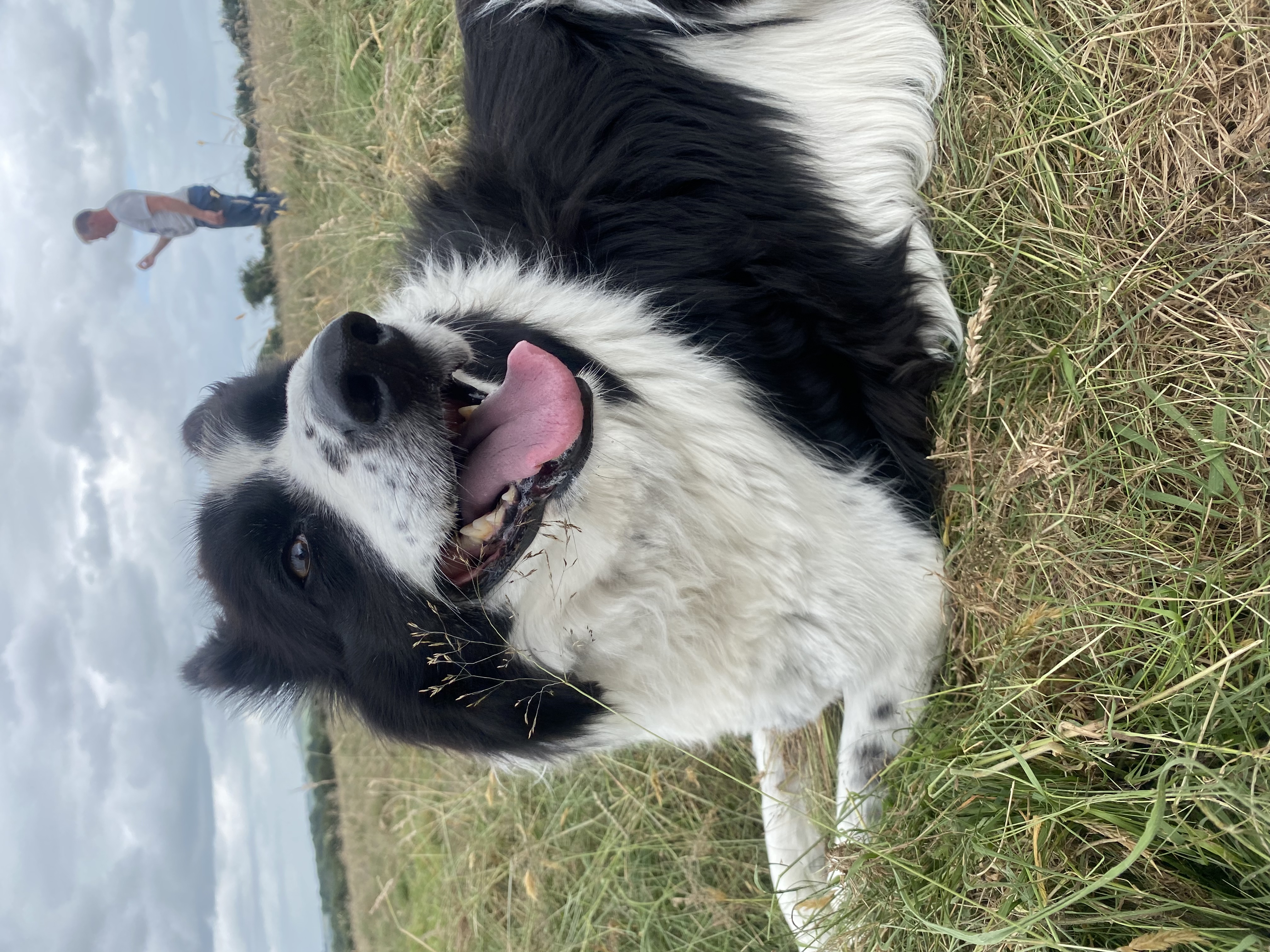 image-9