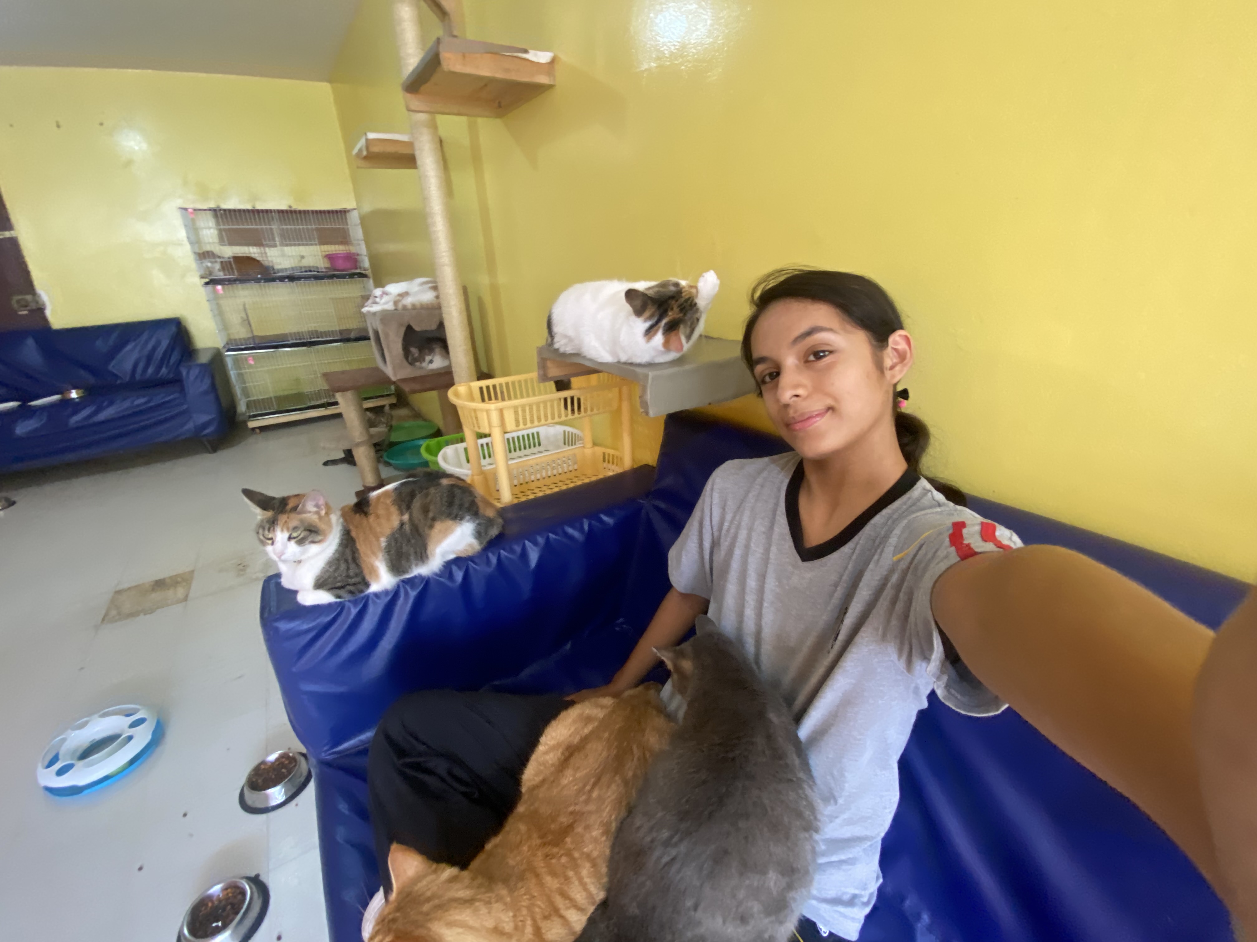 image-4