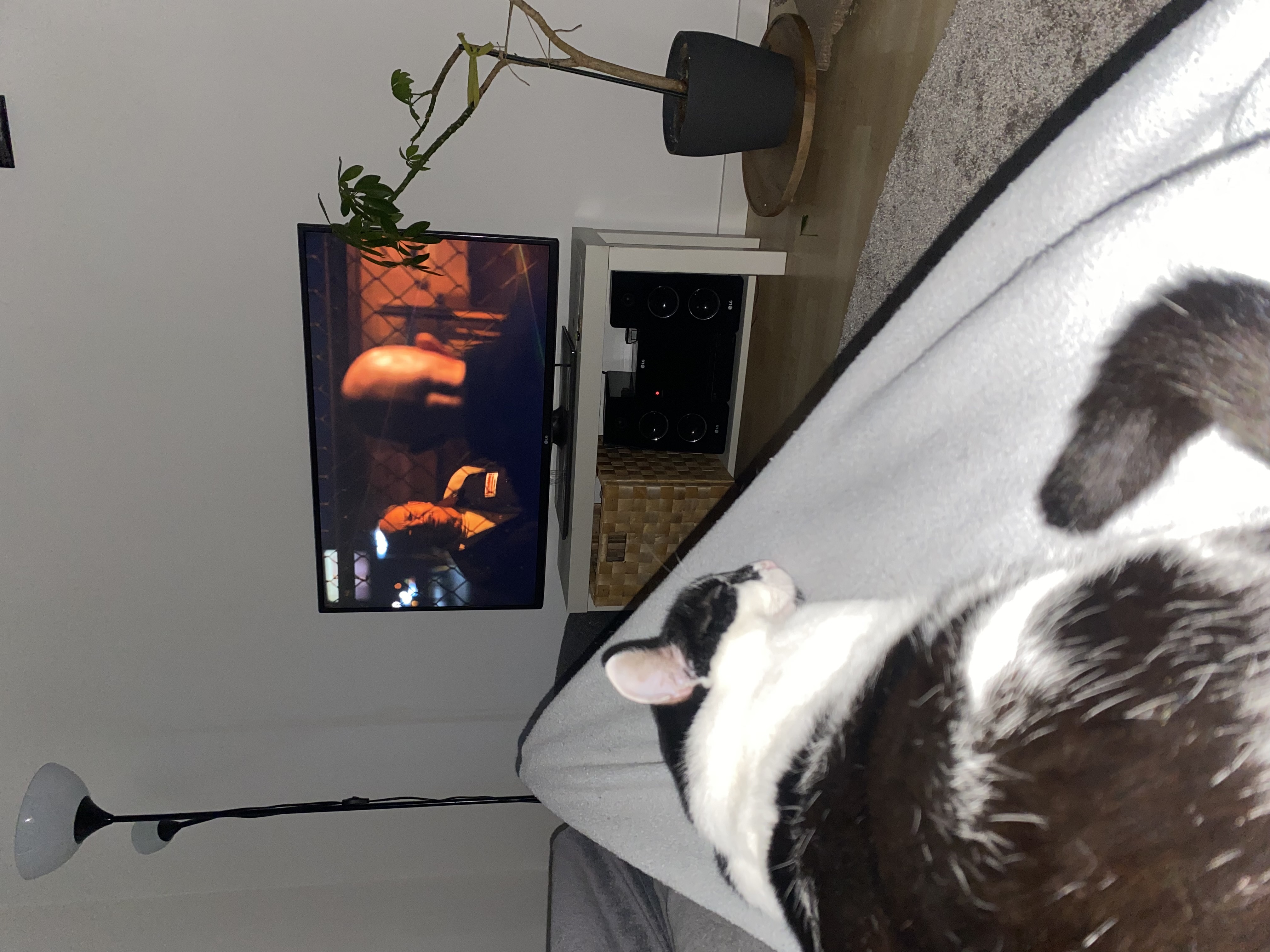 image-6