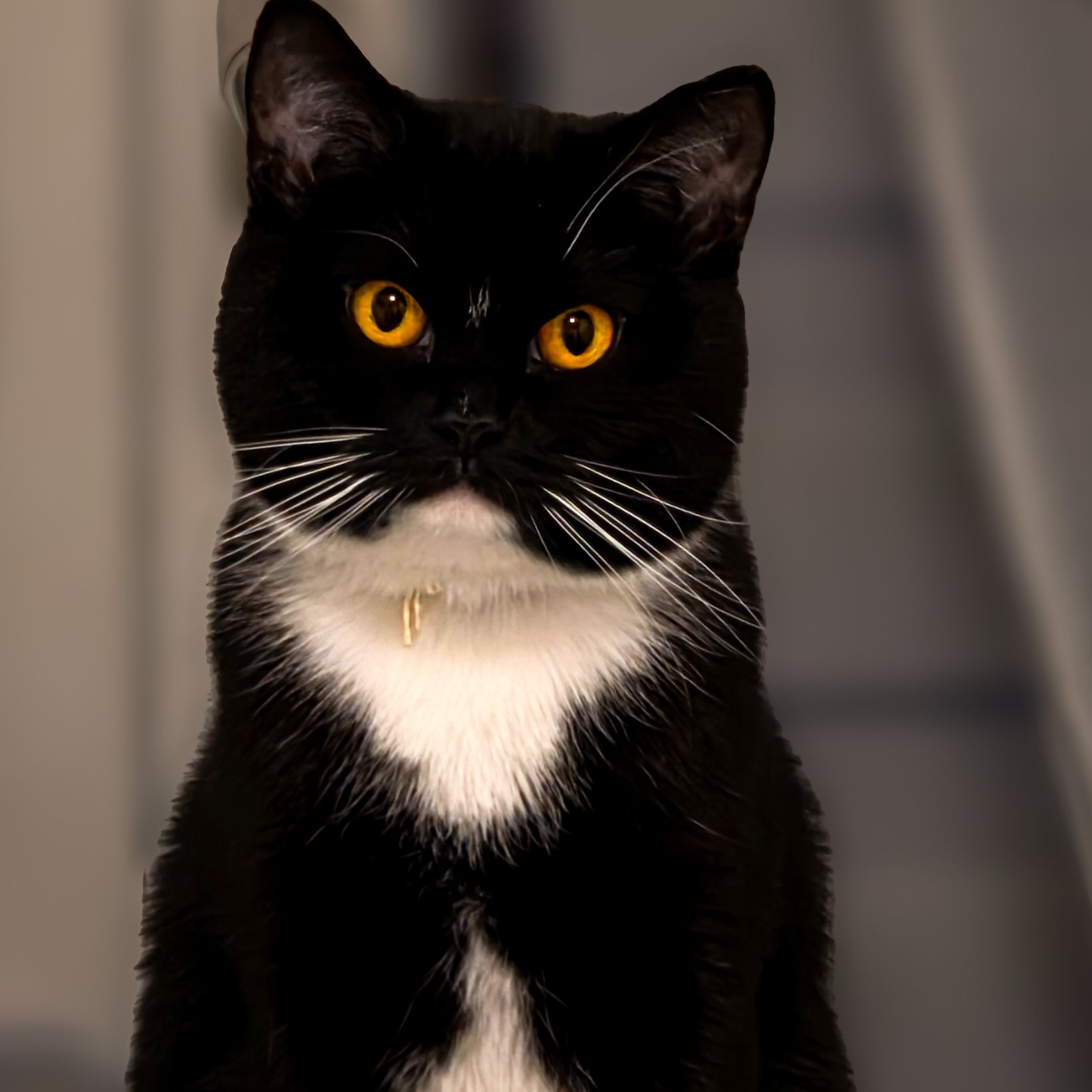 Sumi