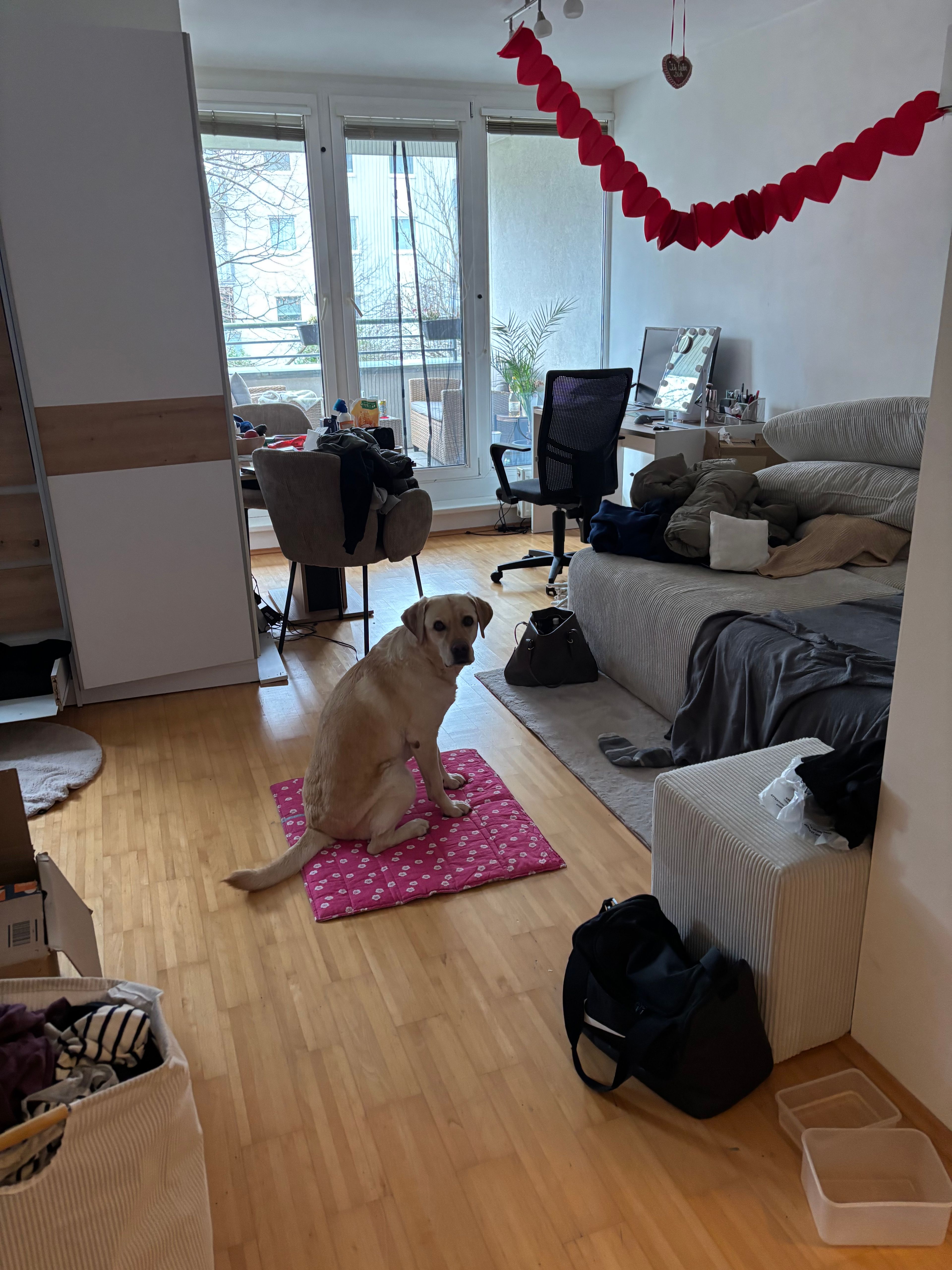 image-20