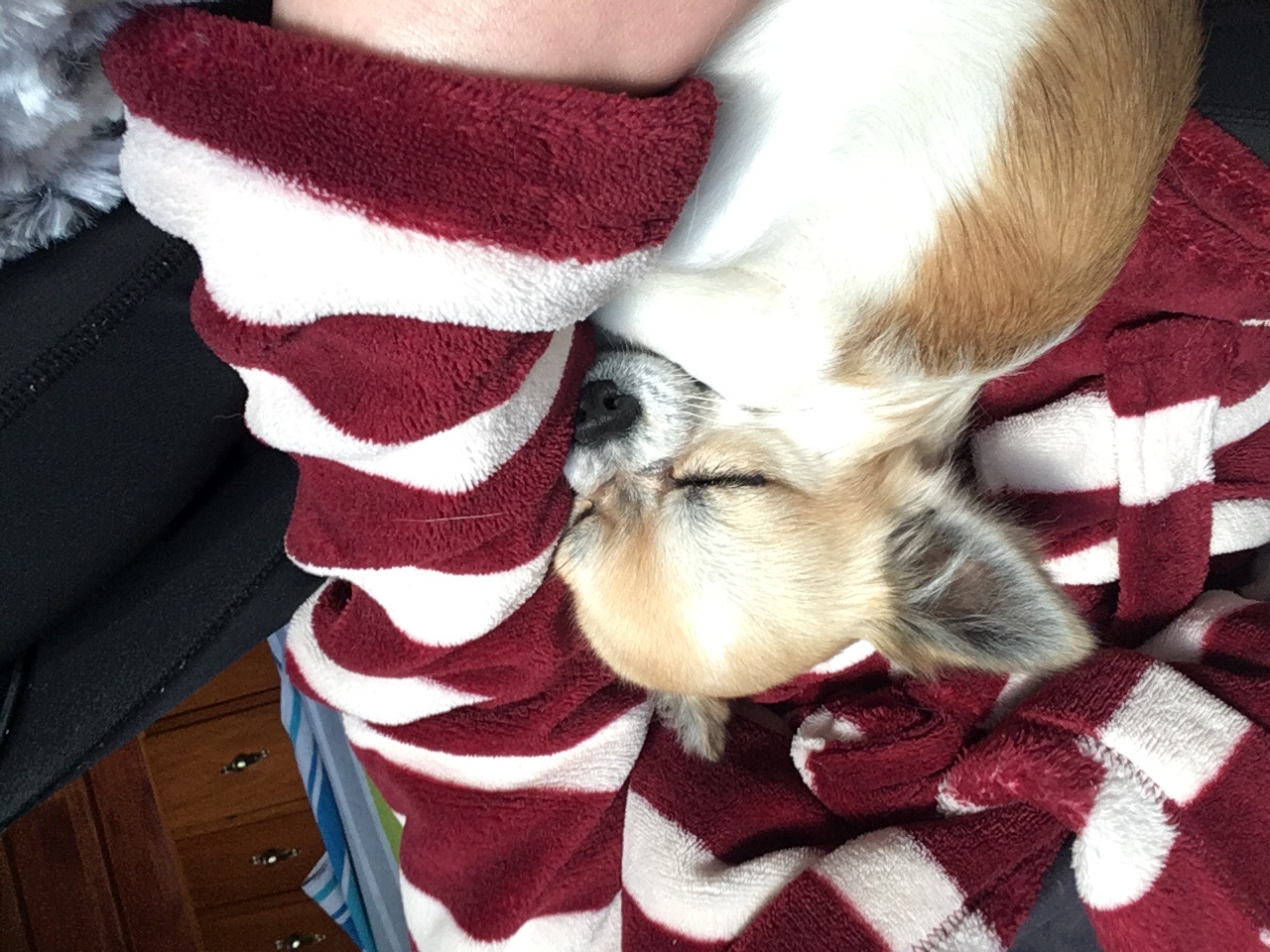 image-11