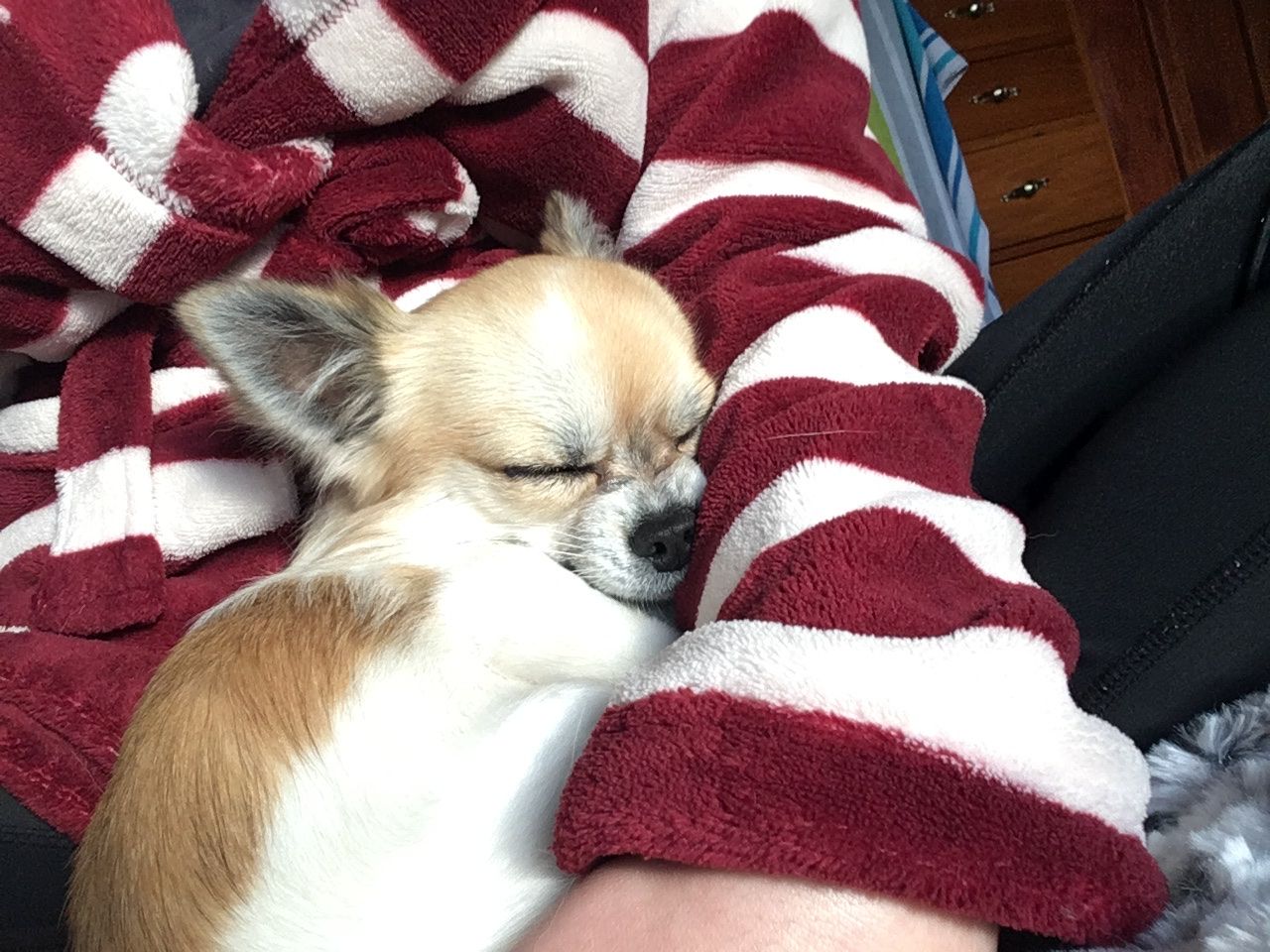 image-11
