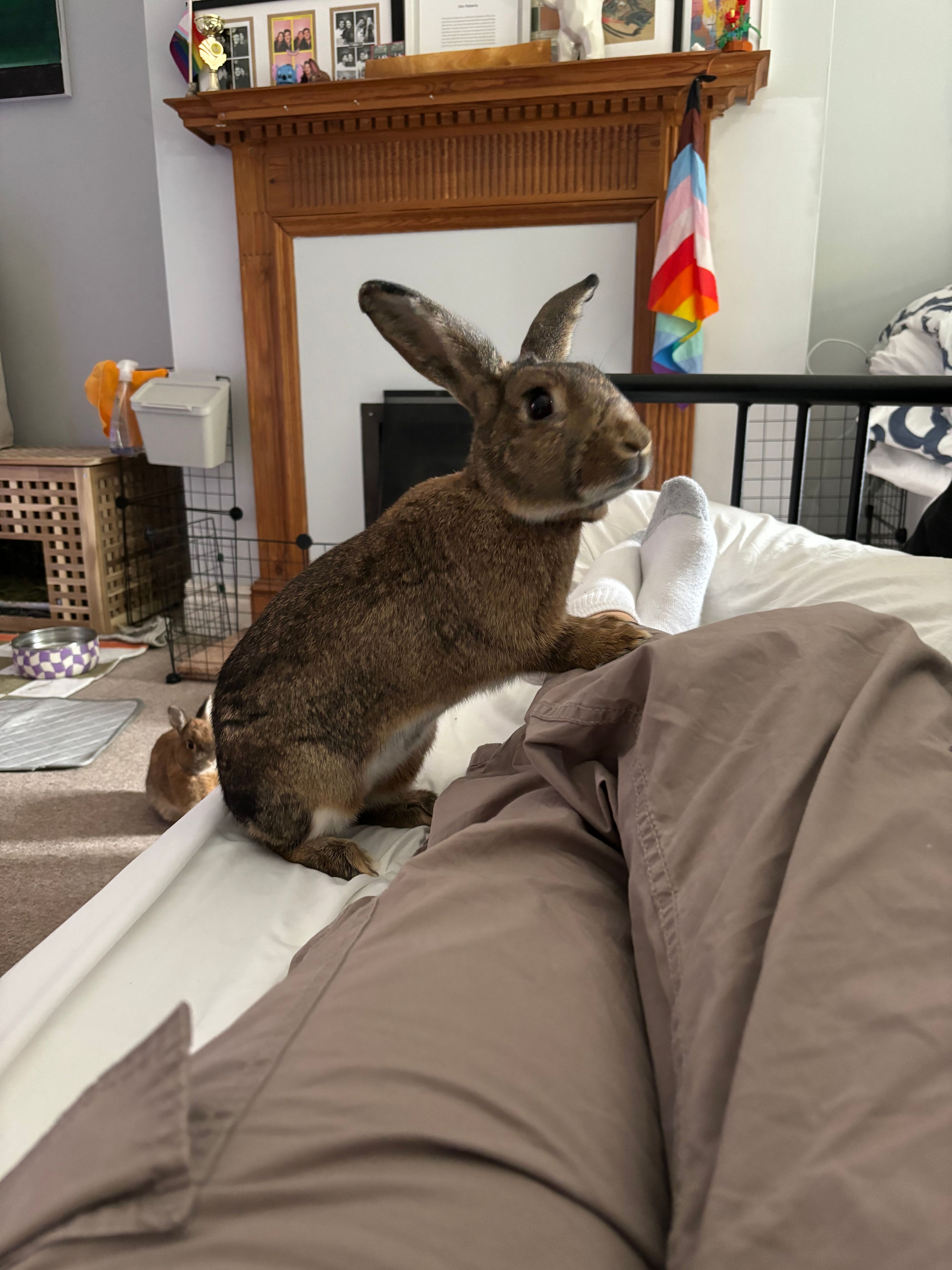 image-13