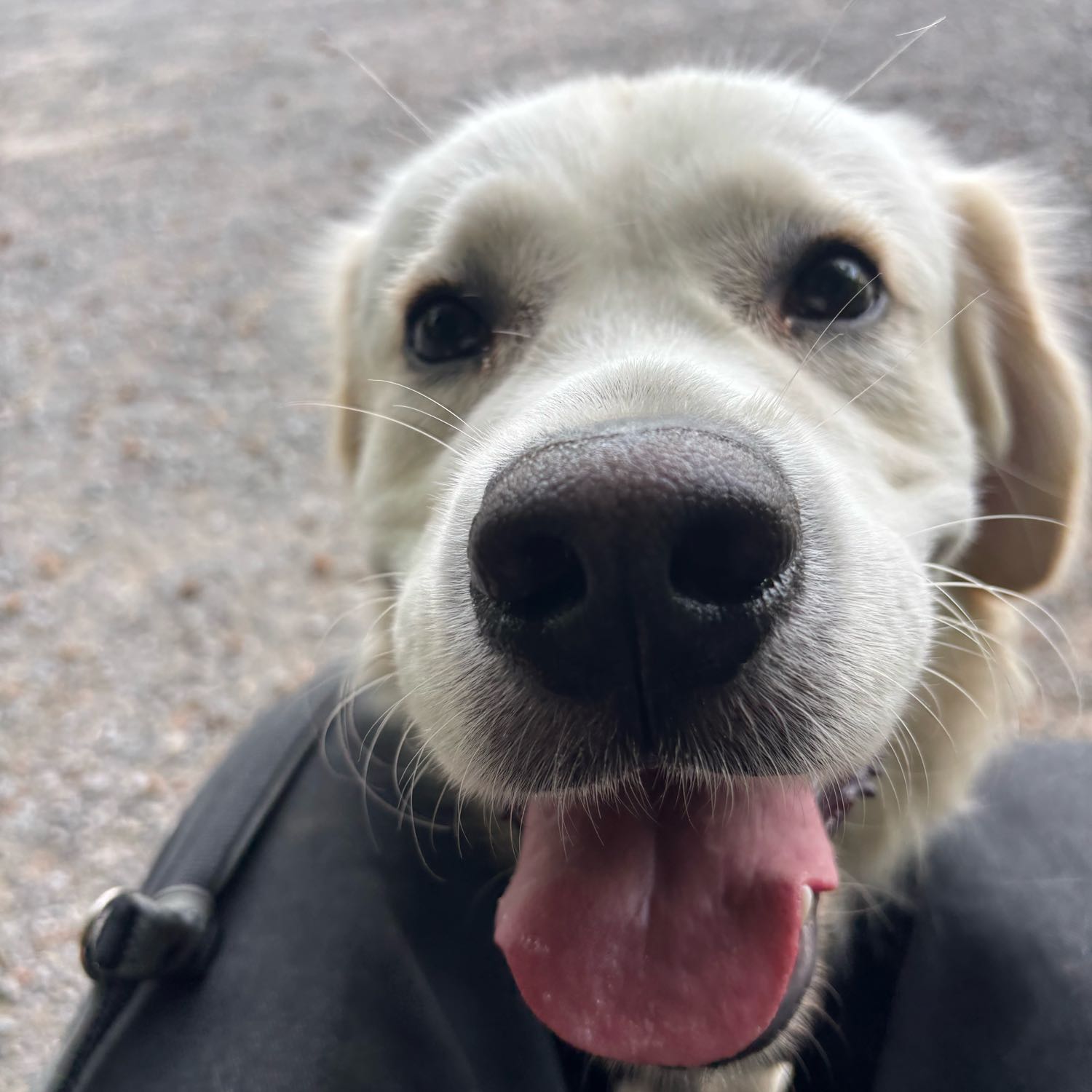 Charlie