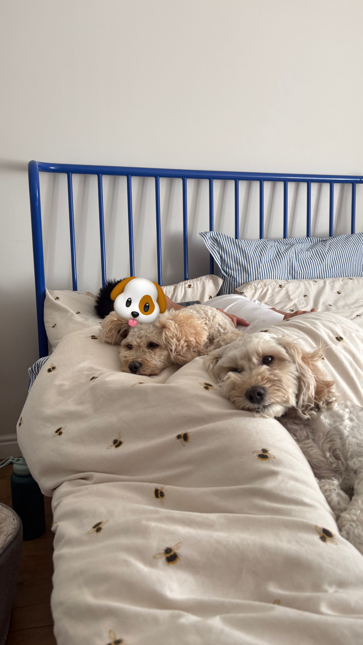 image-9