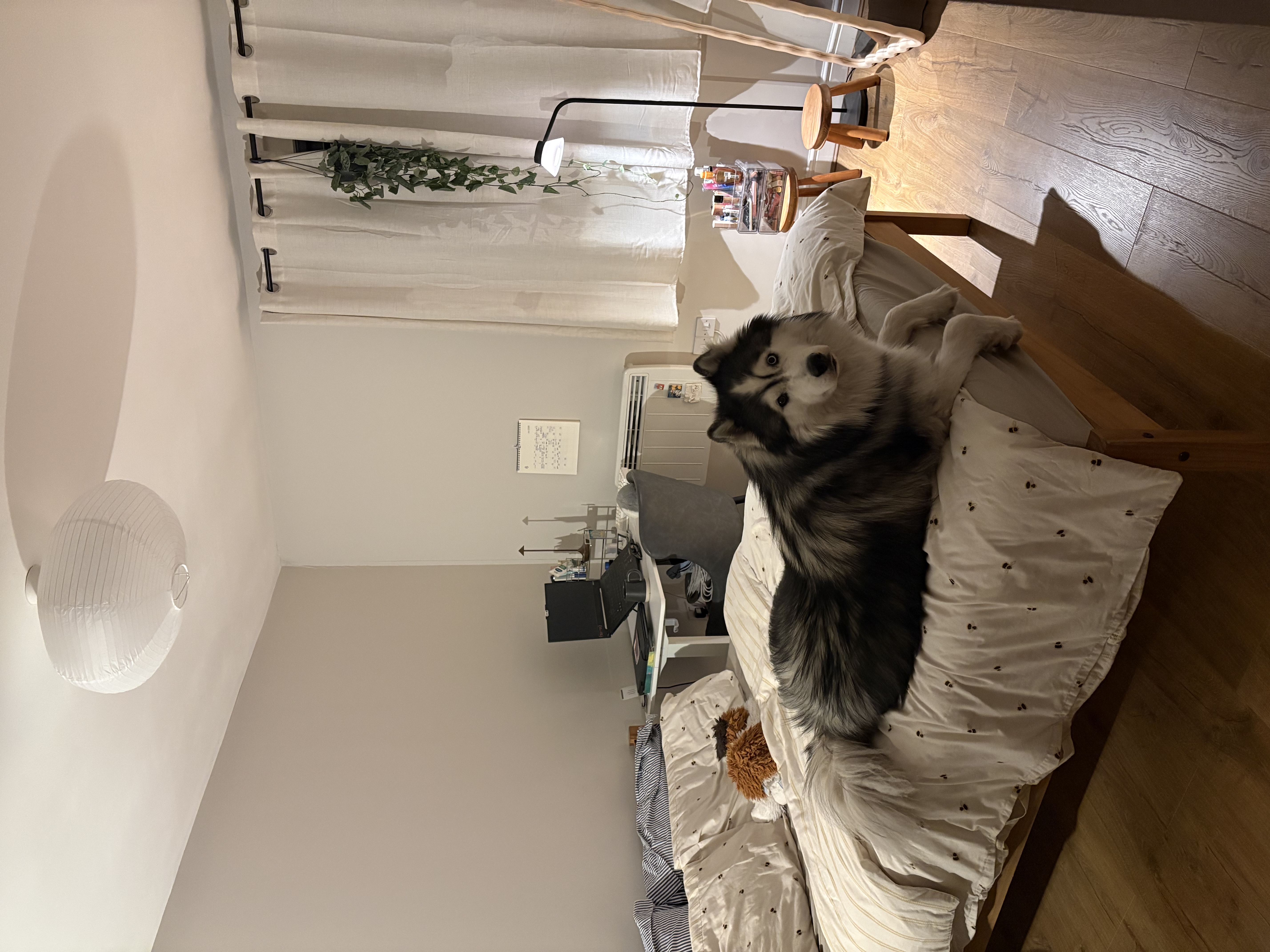 image-16