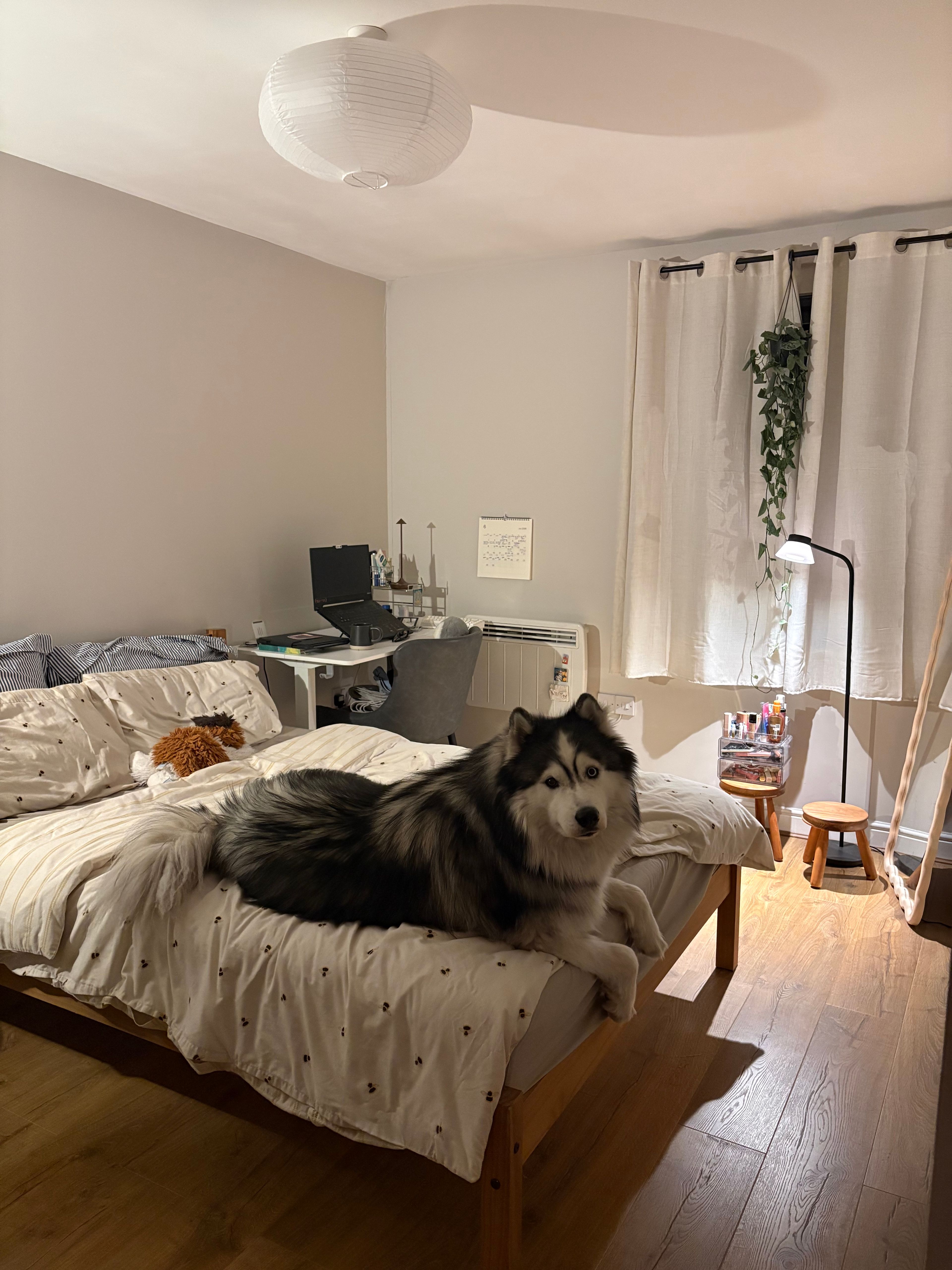 image-16