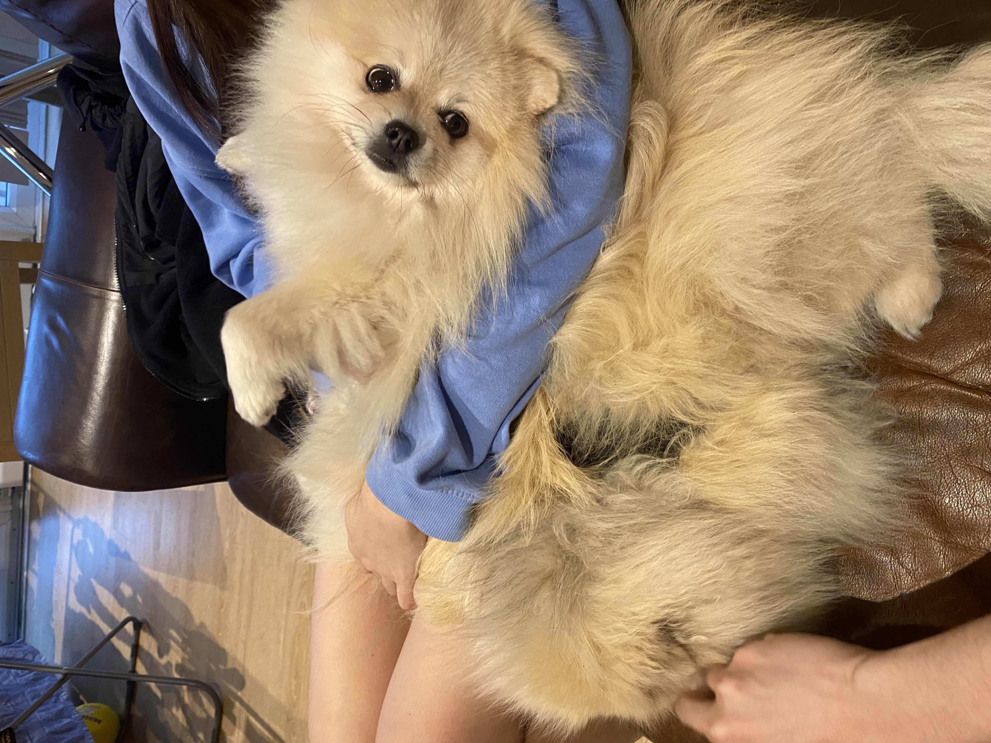 image-6