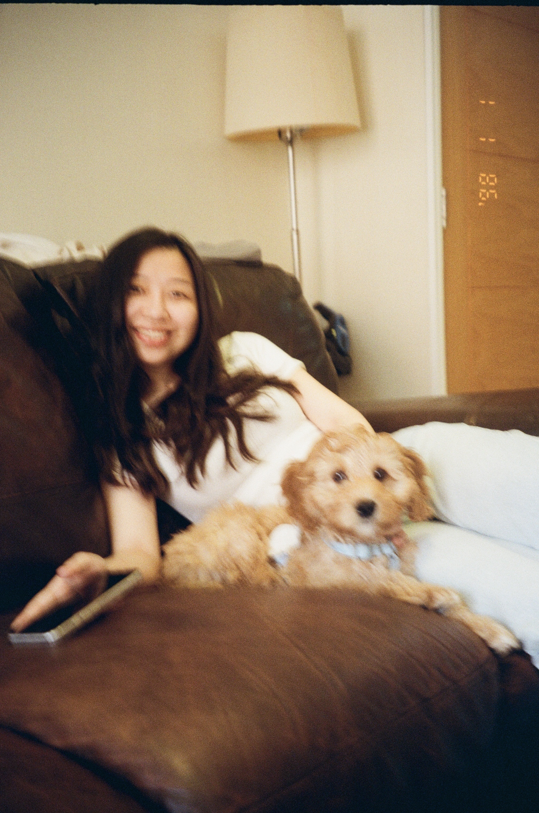 image-4