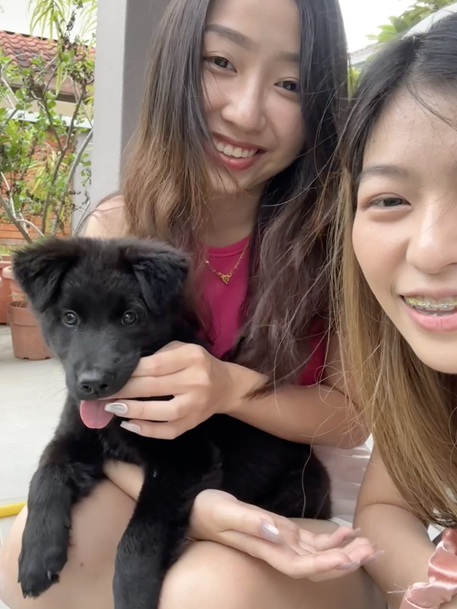 image-7