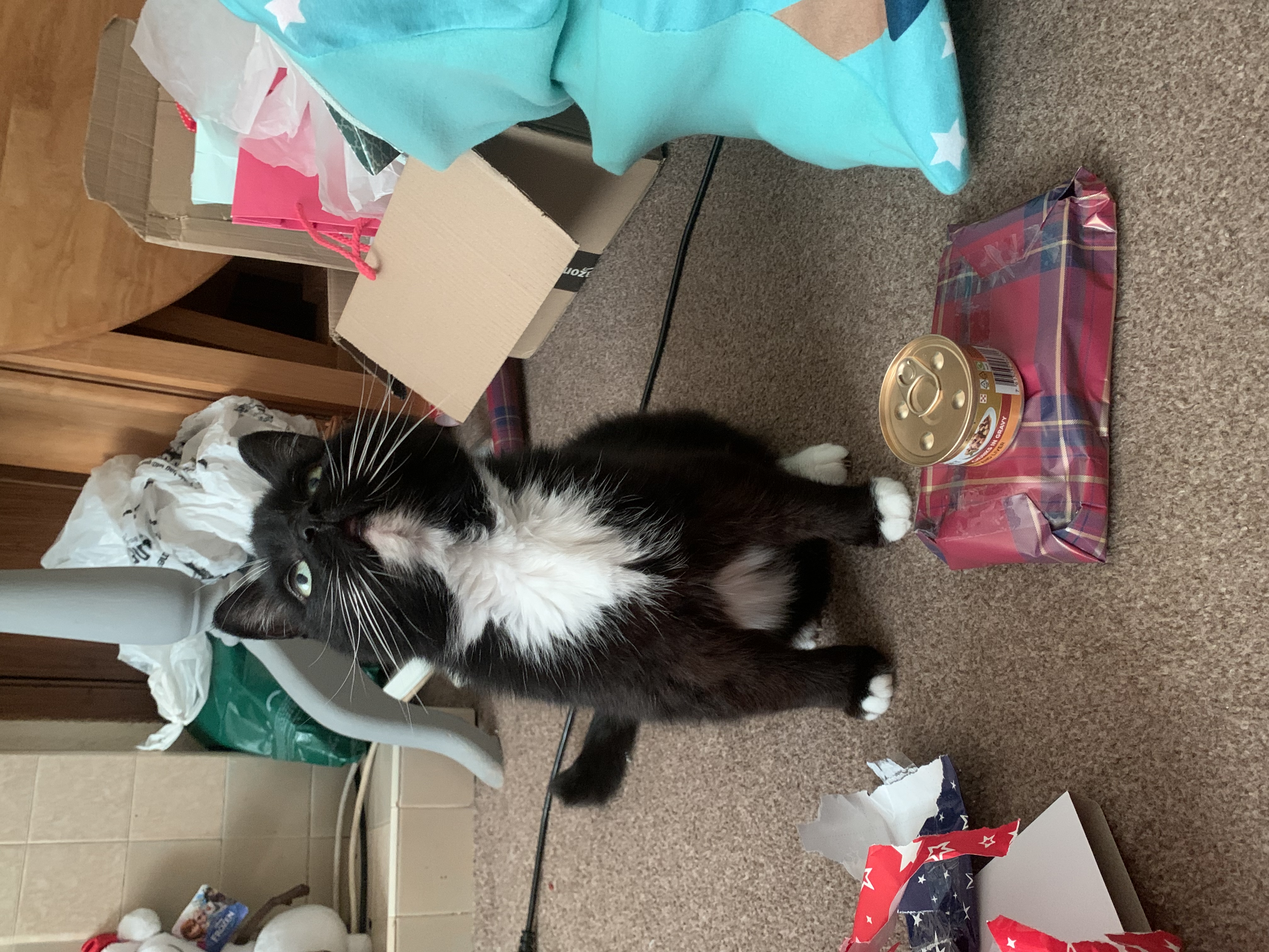 image-5