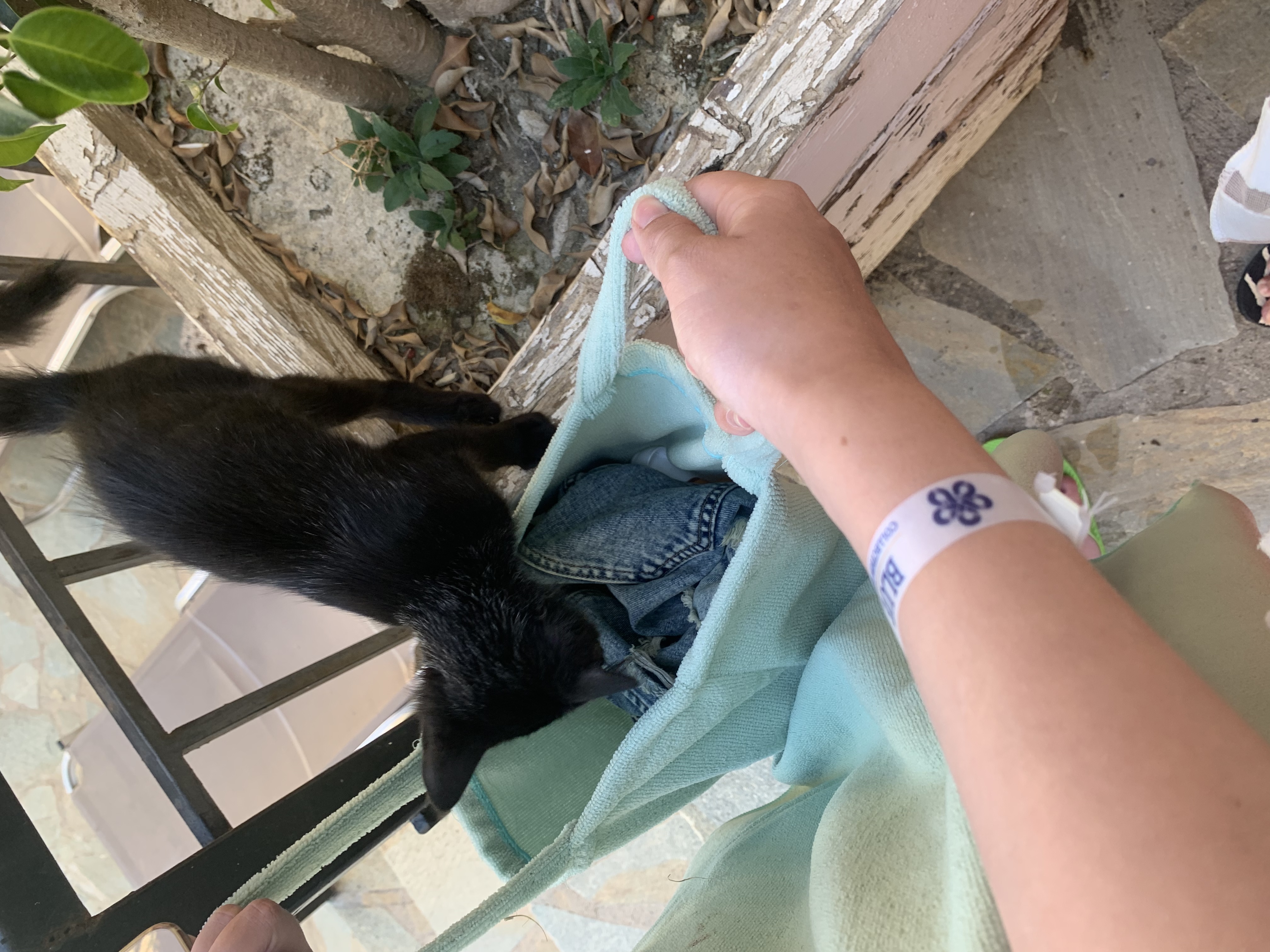 image-12