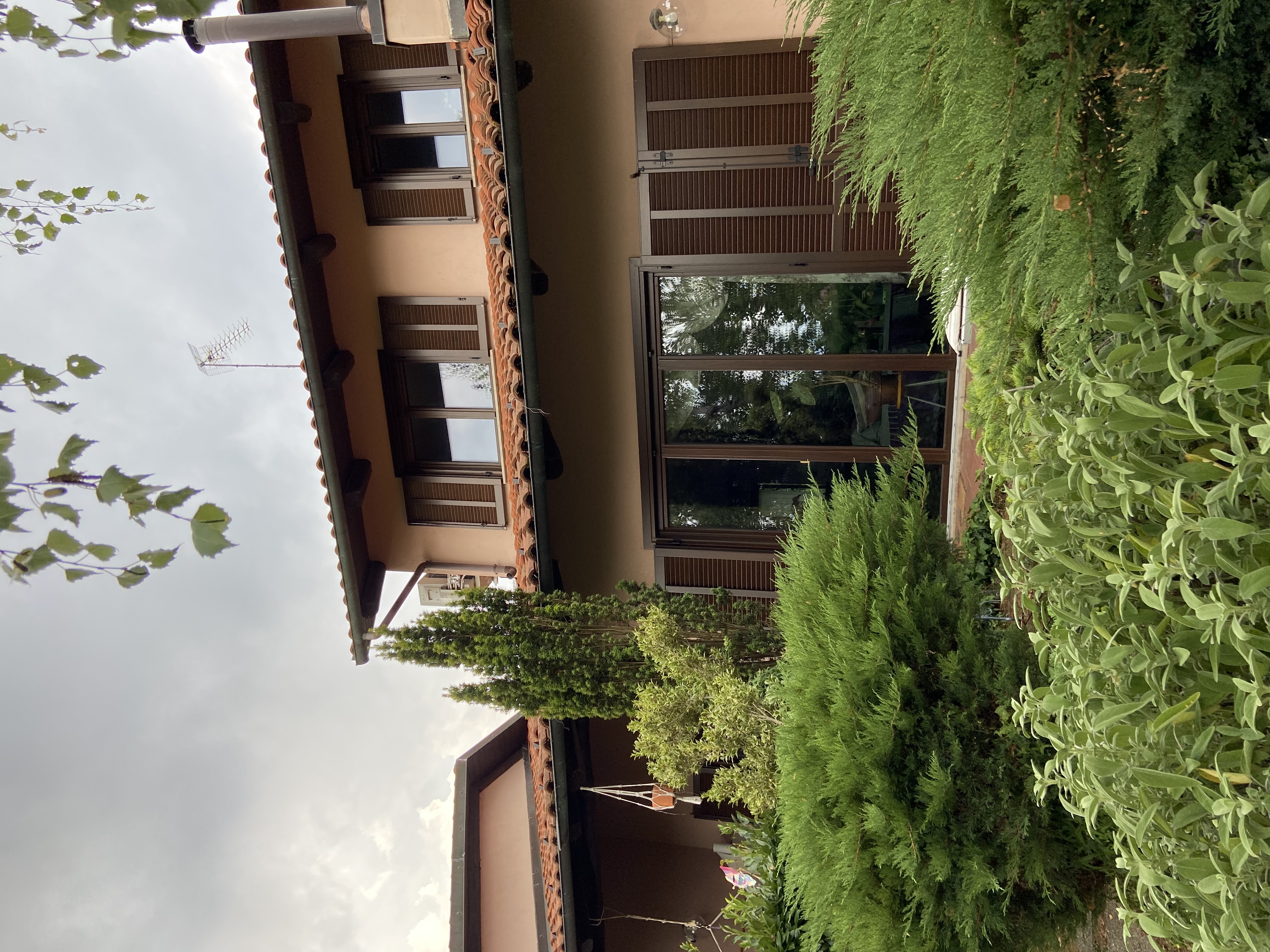 image-19