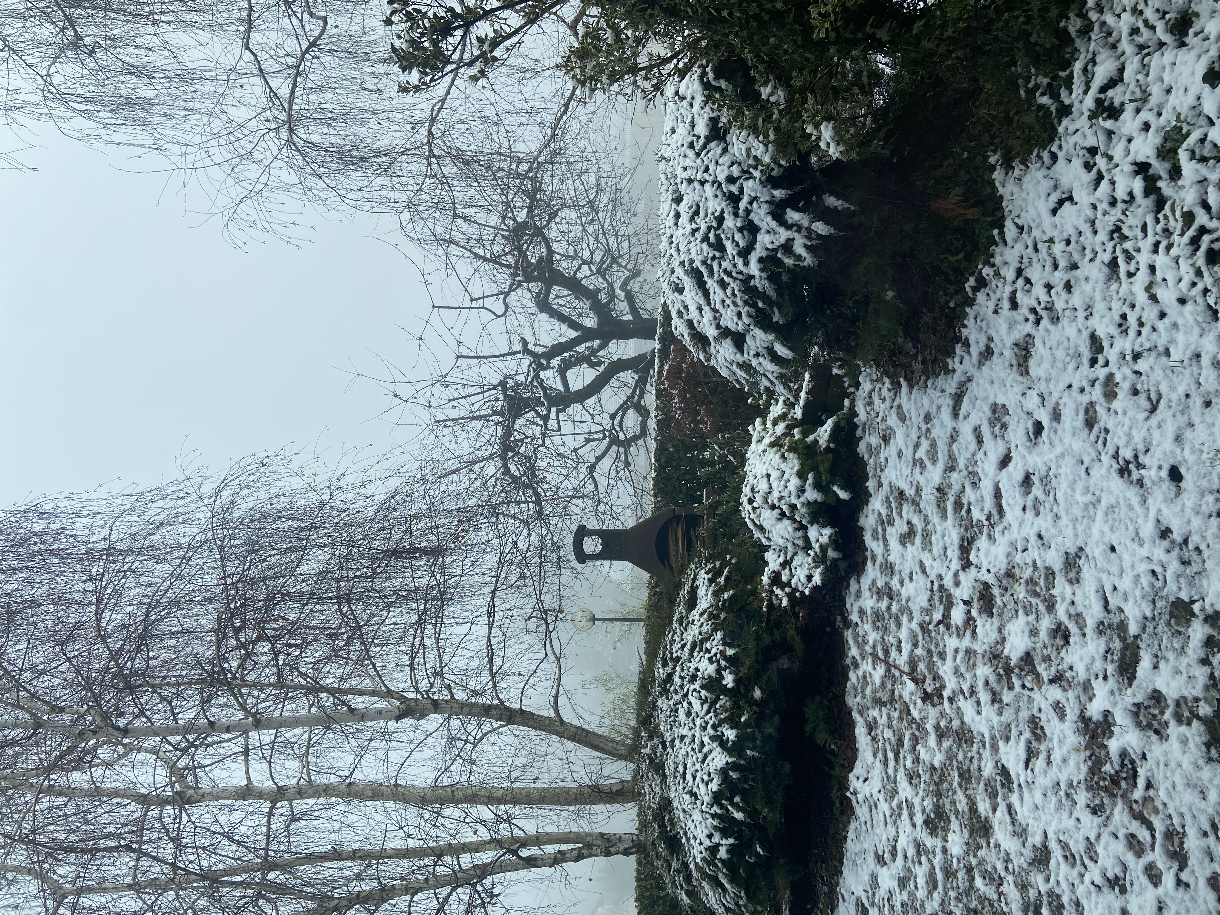 image-17