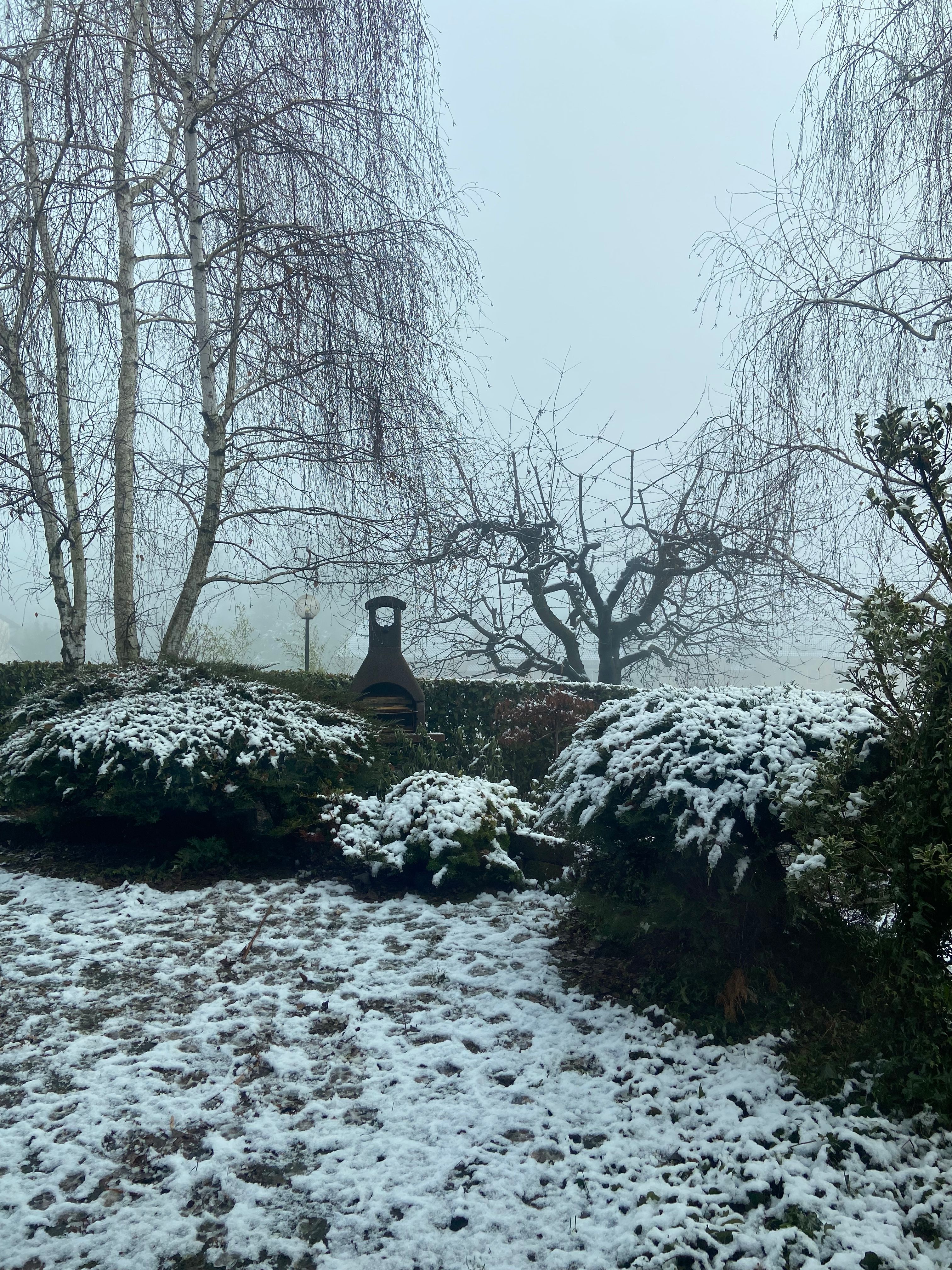 image-17