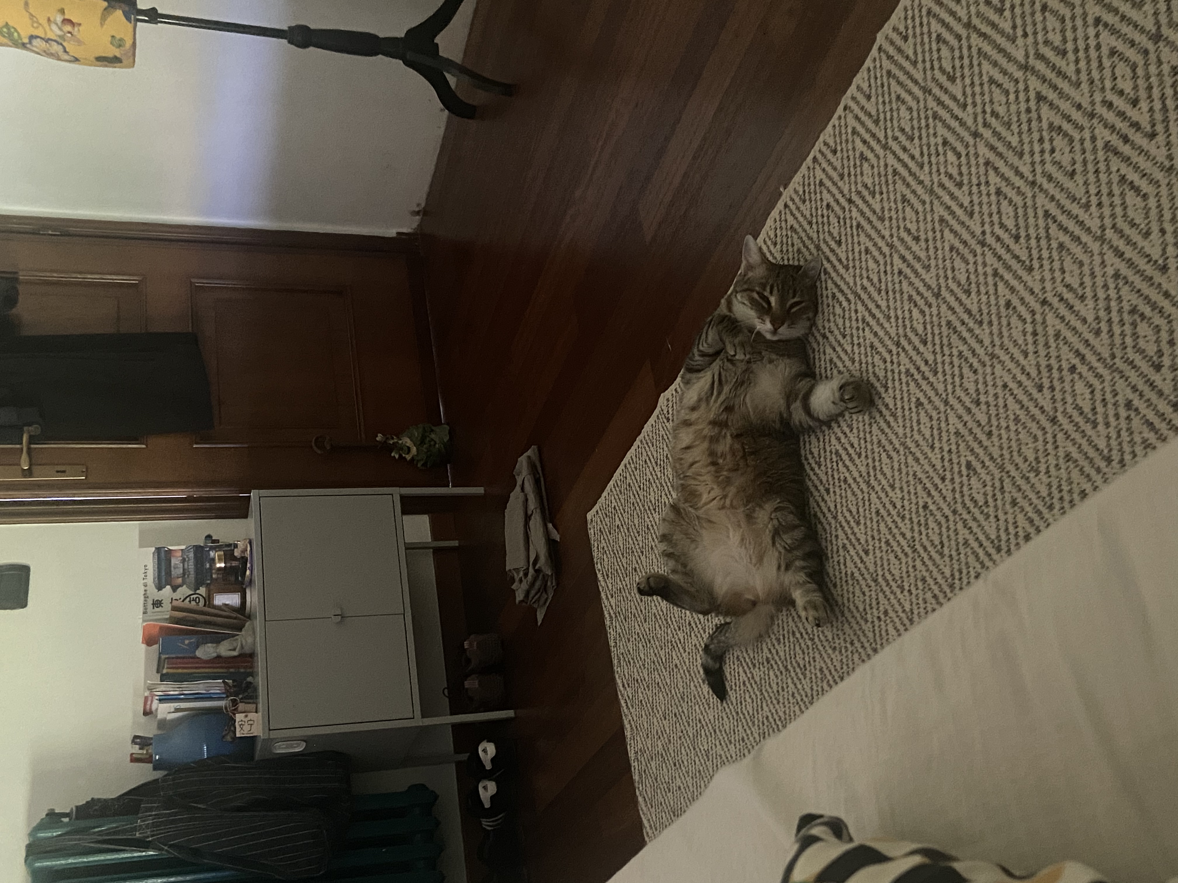 image-12