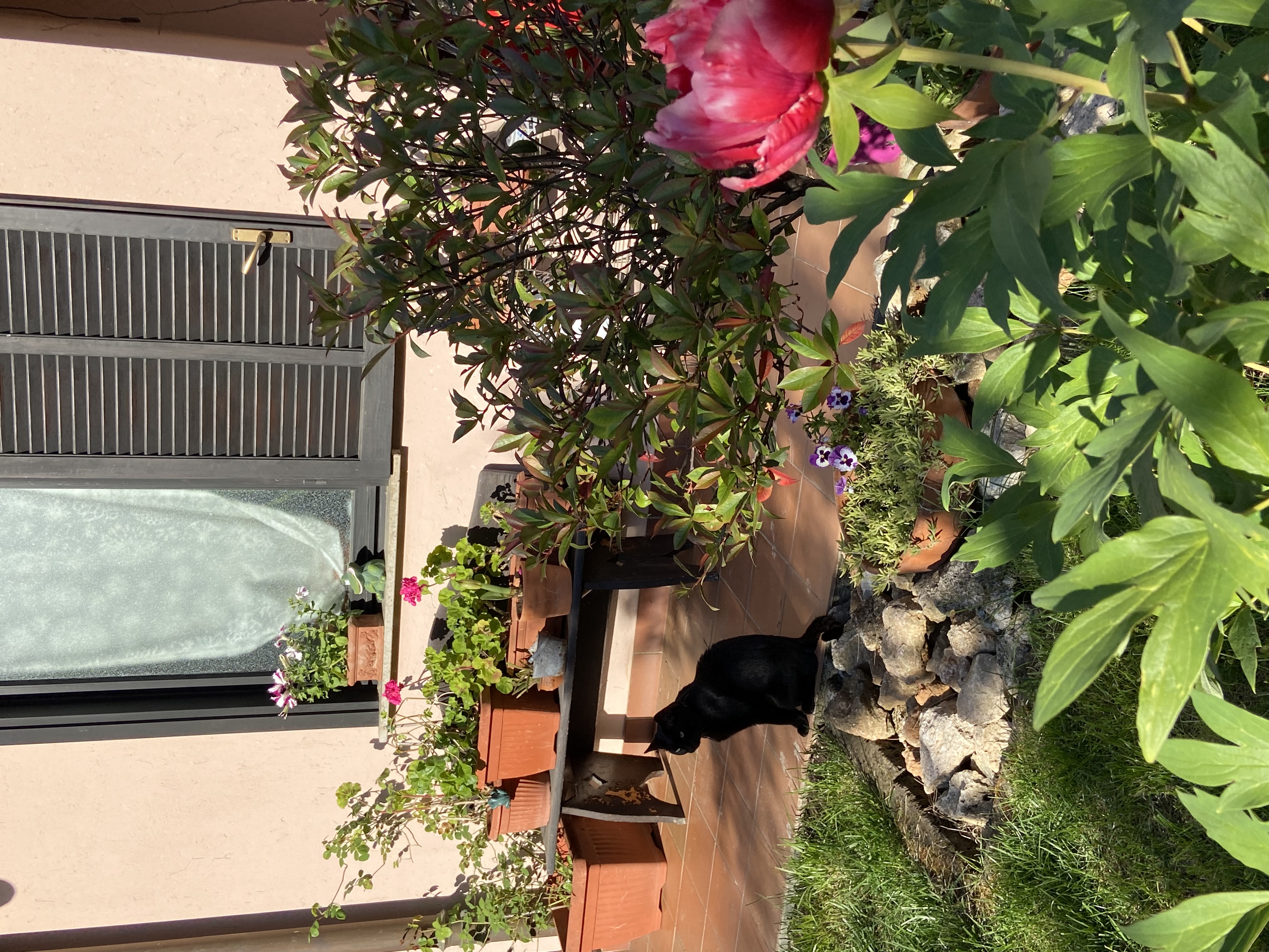 image-11