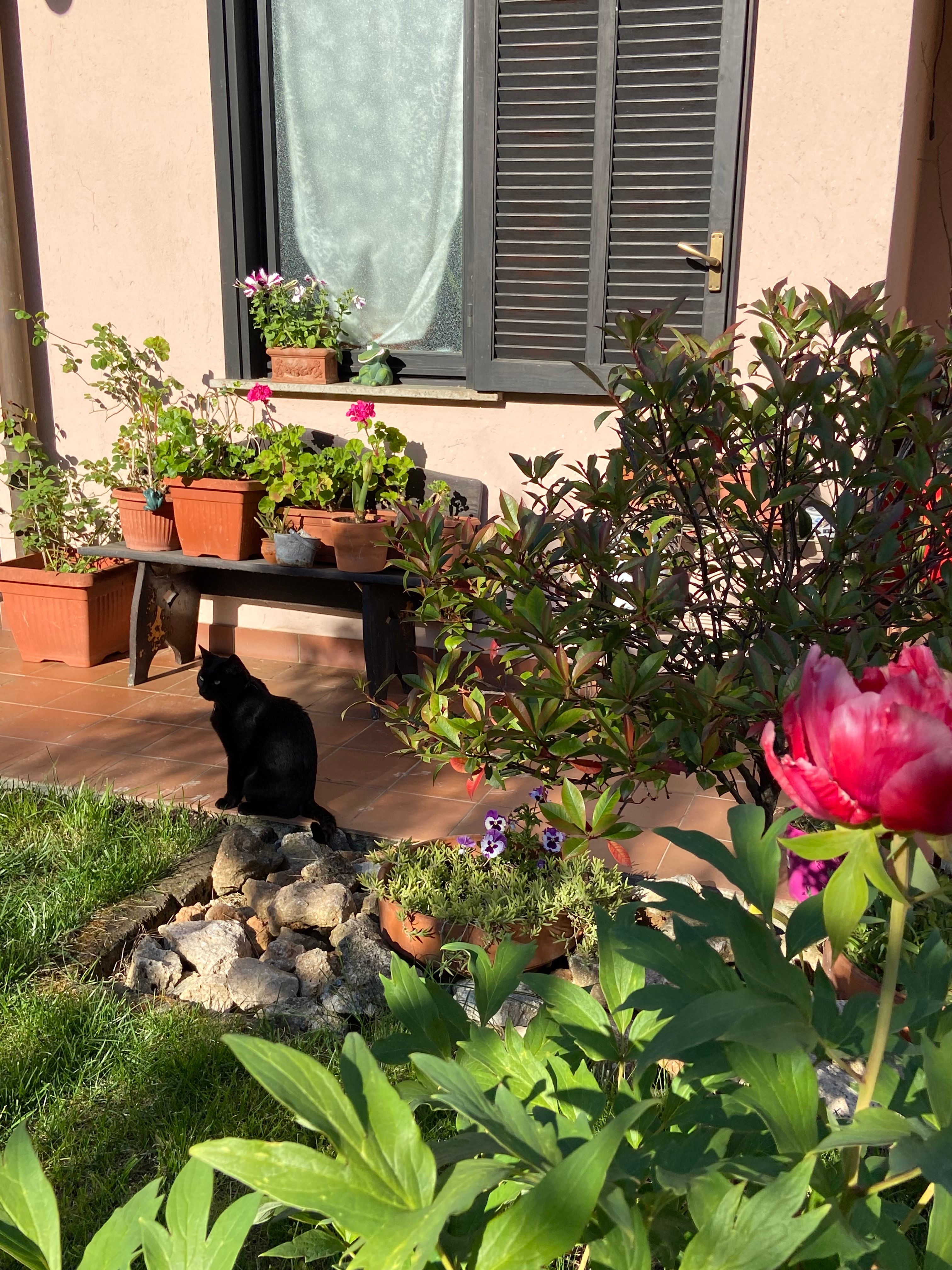 image-11