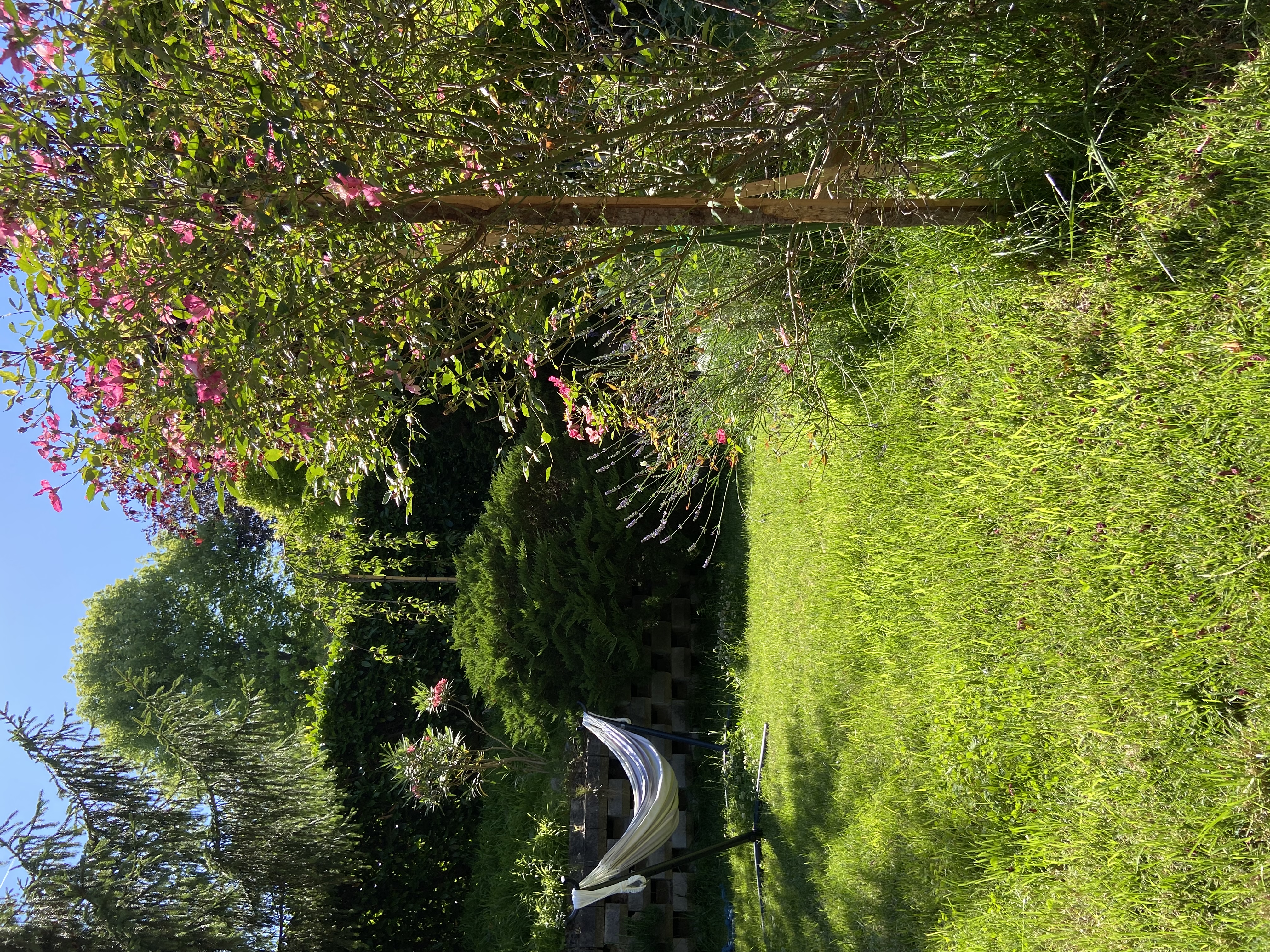 image-14