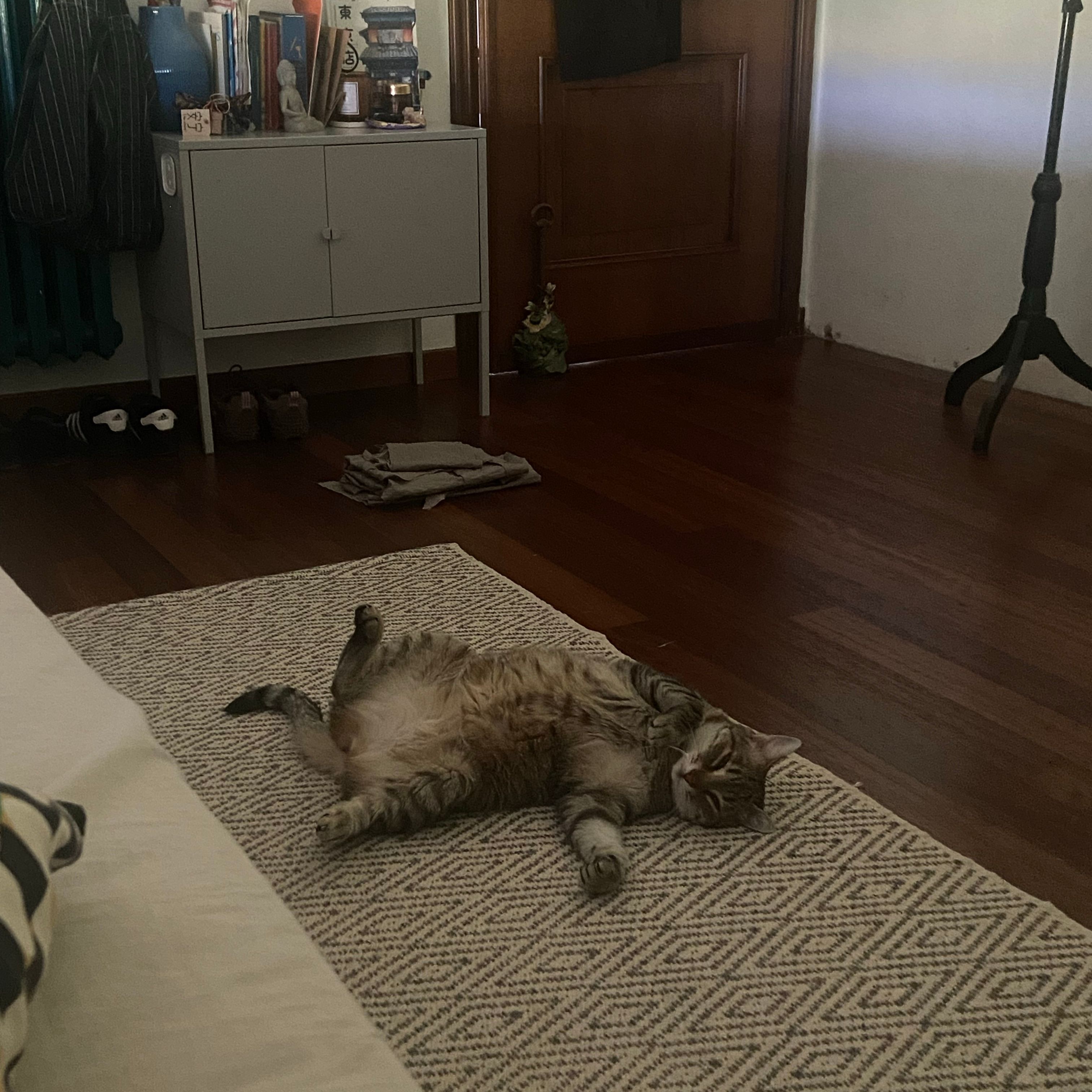 Frida