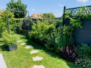 image-20