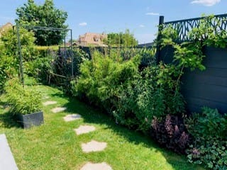 image-20