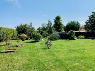 image-21