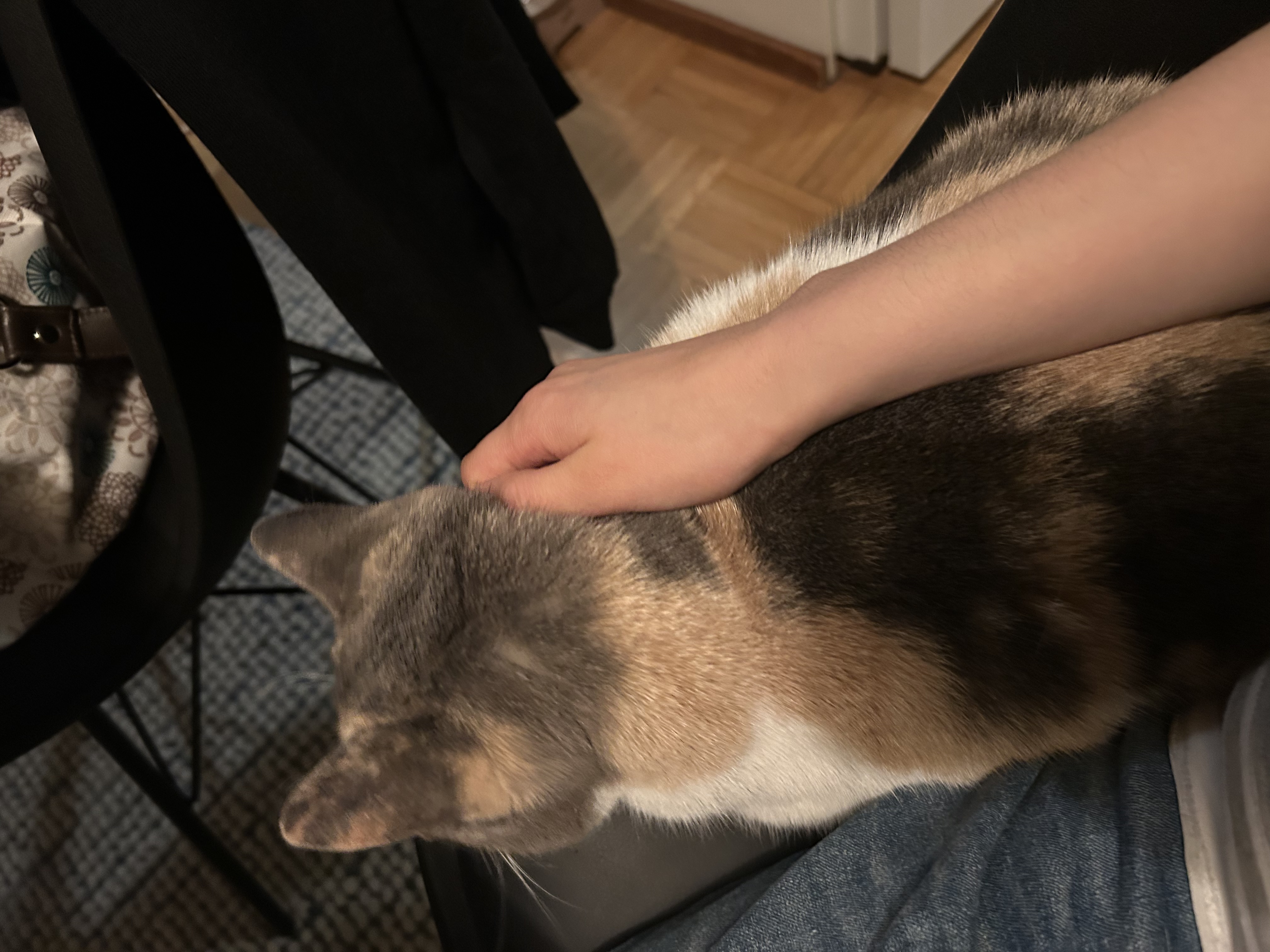 image-12