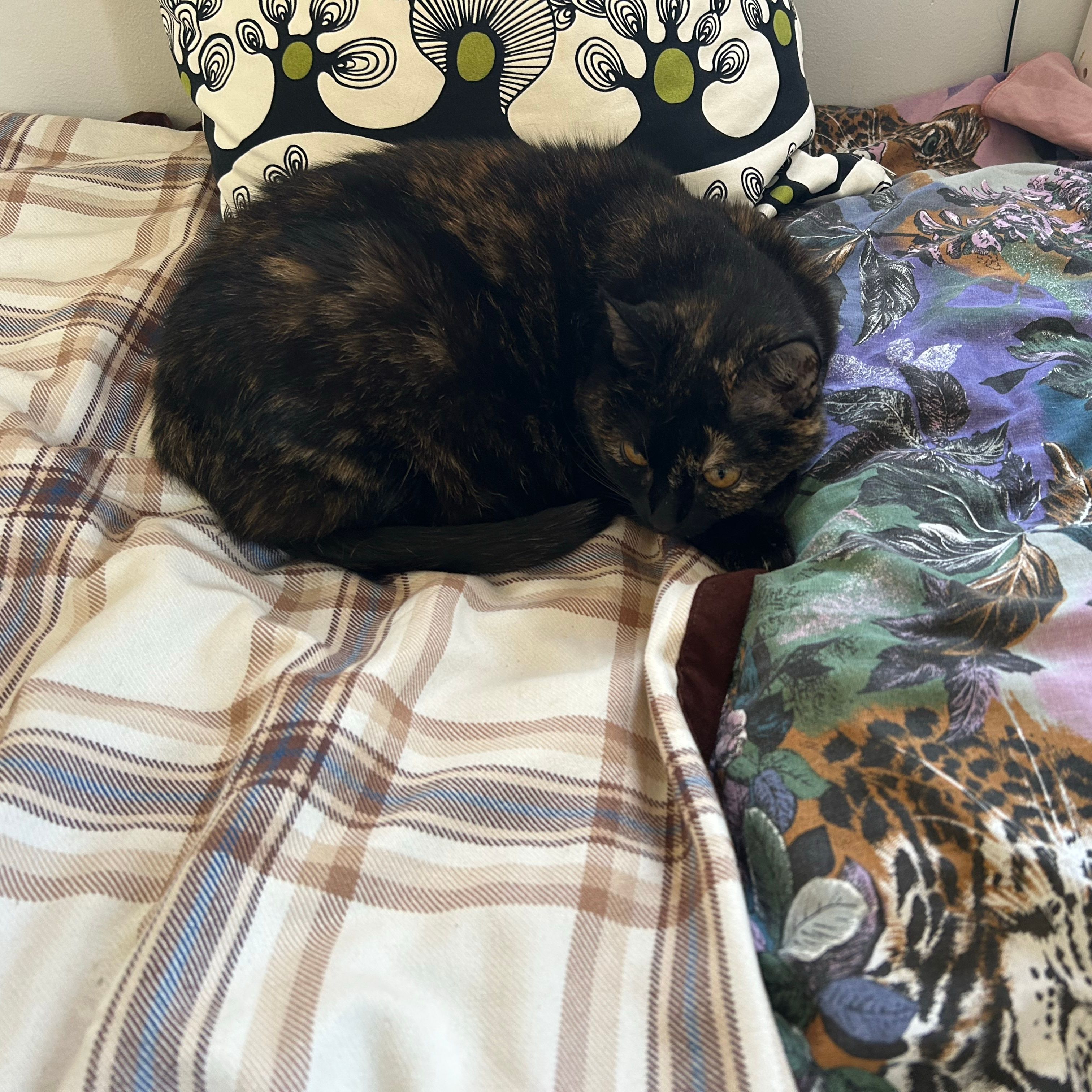 Kiki