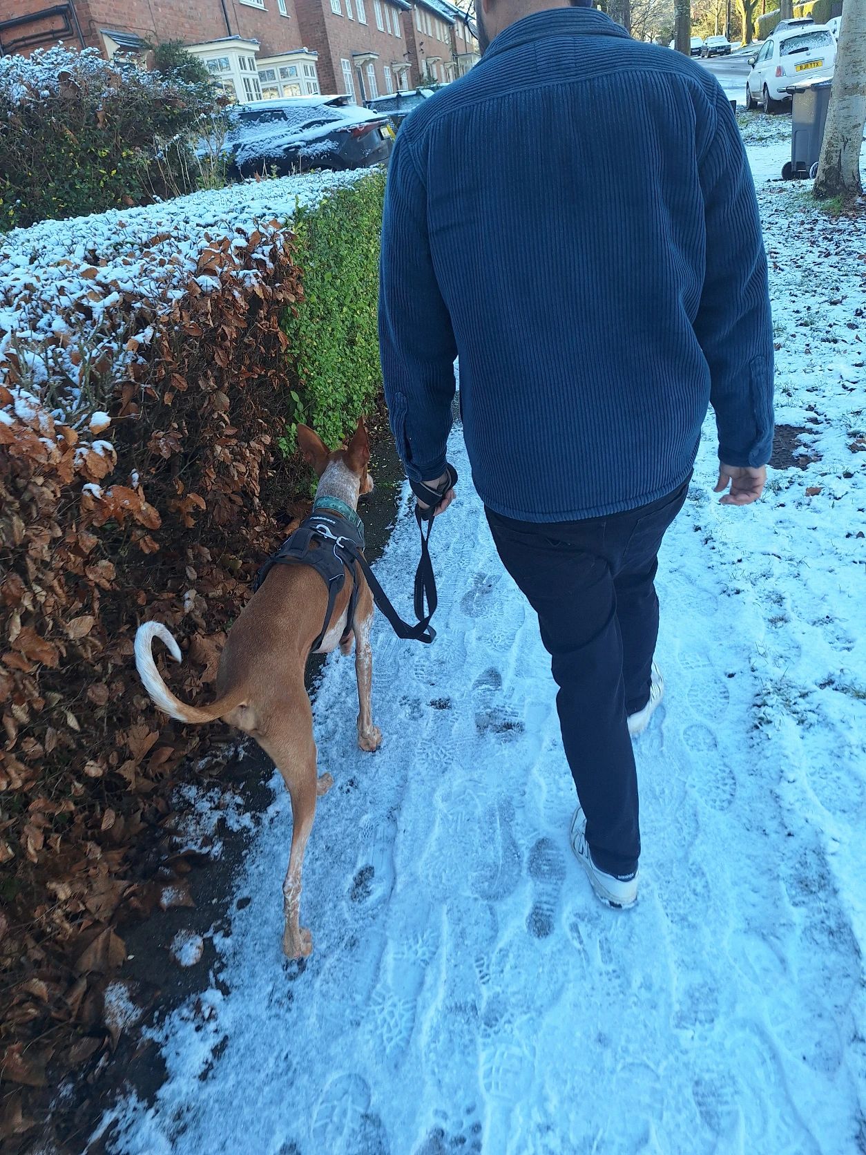image-8