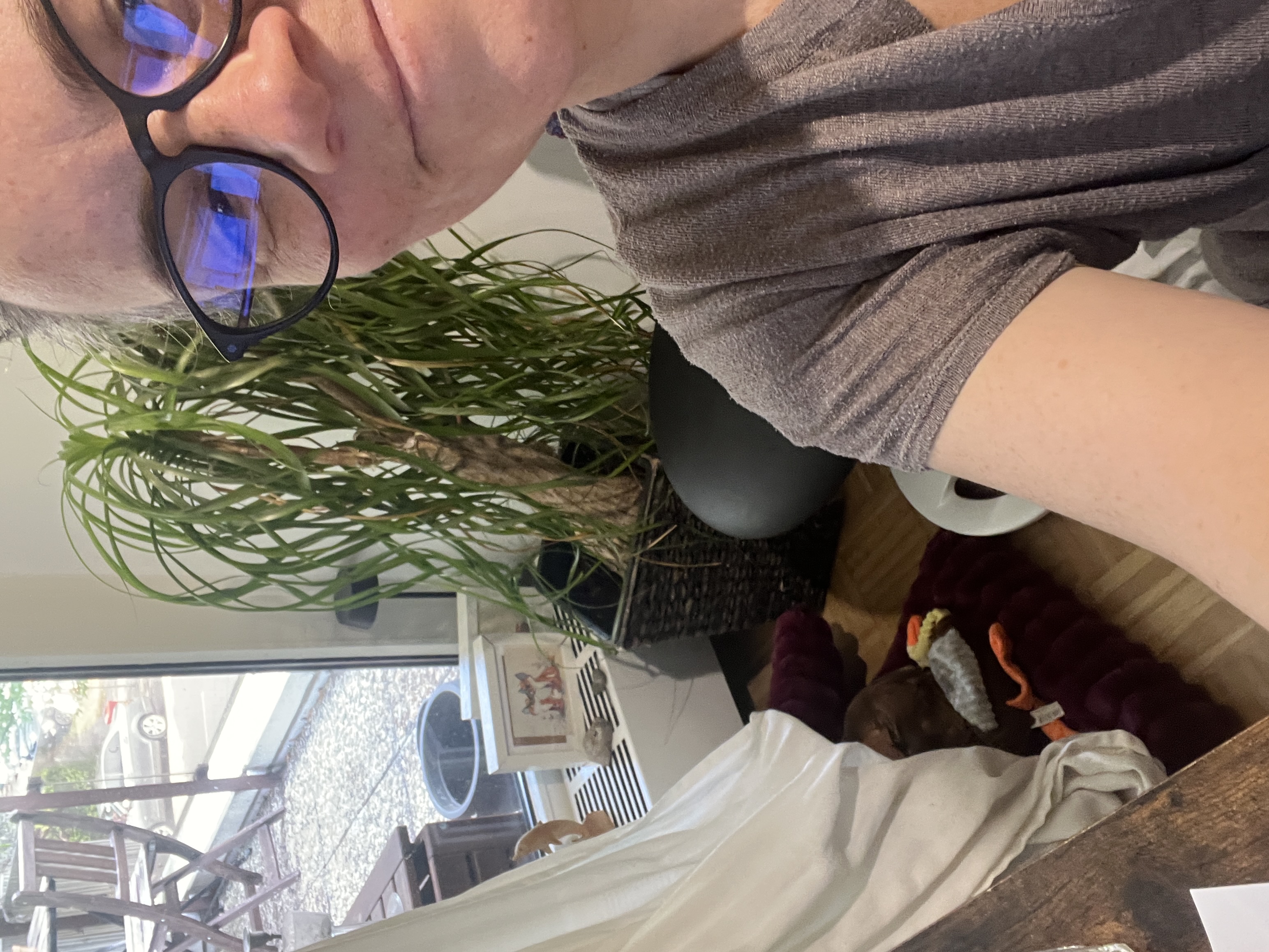 image-7