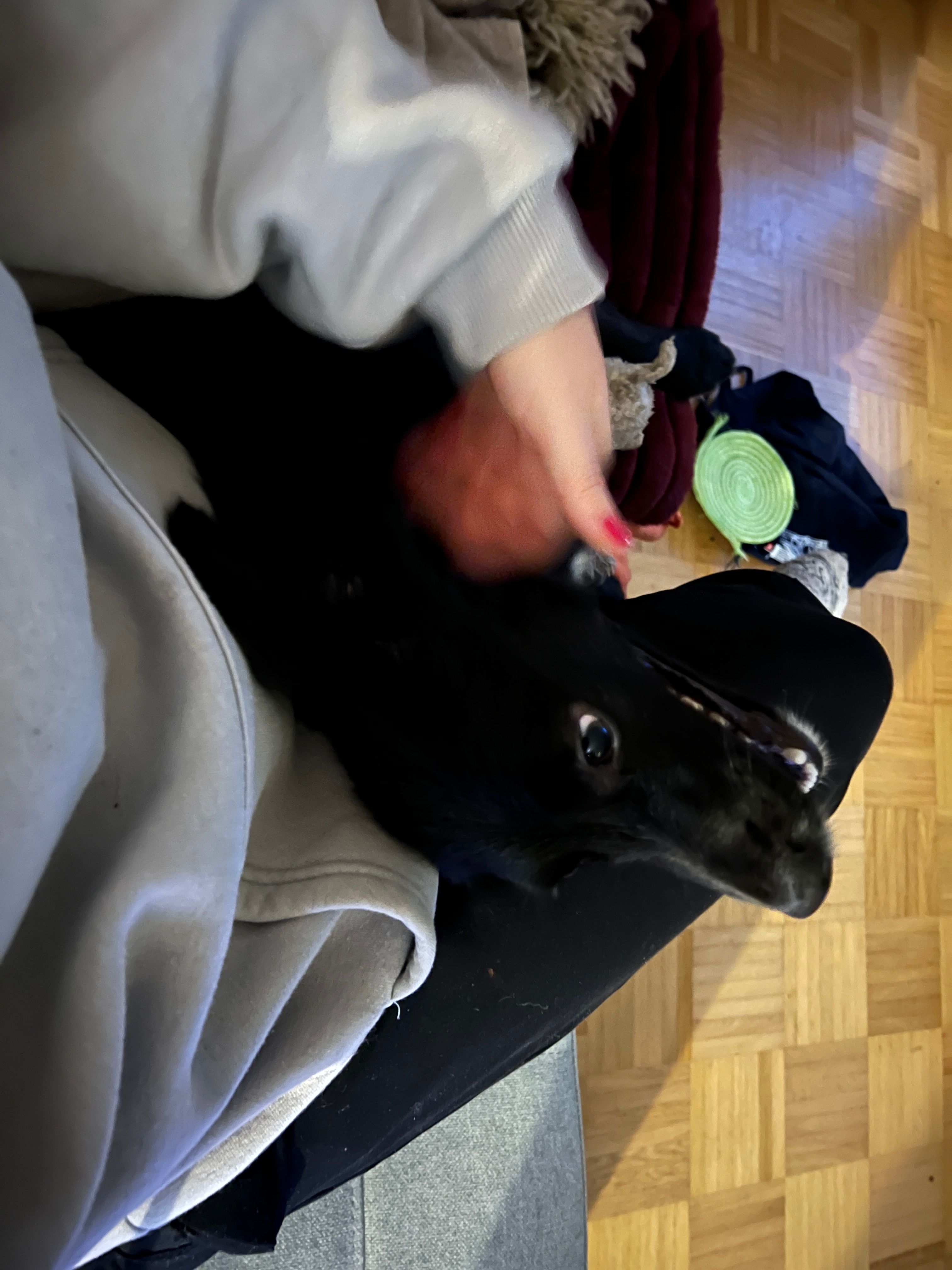 image-17