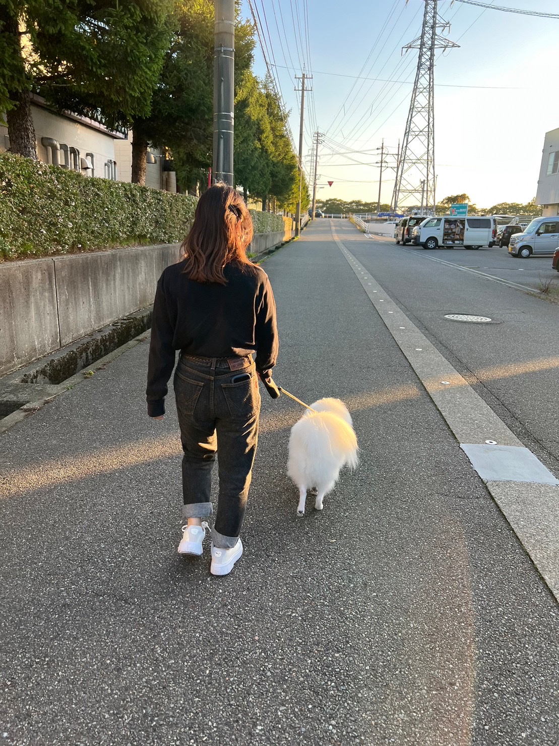 image-2