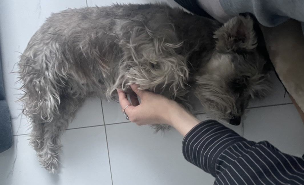 image-7