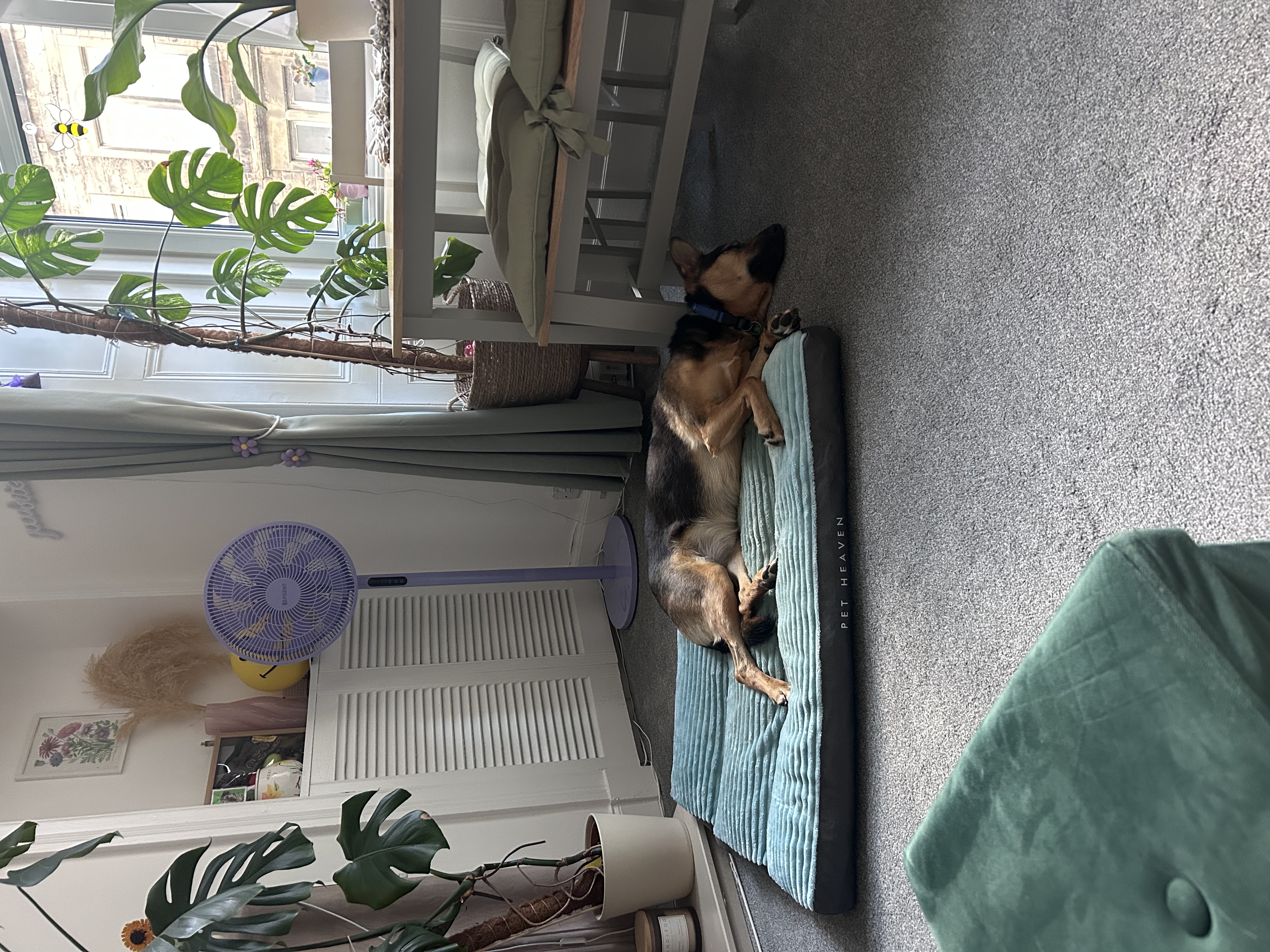 image-21