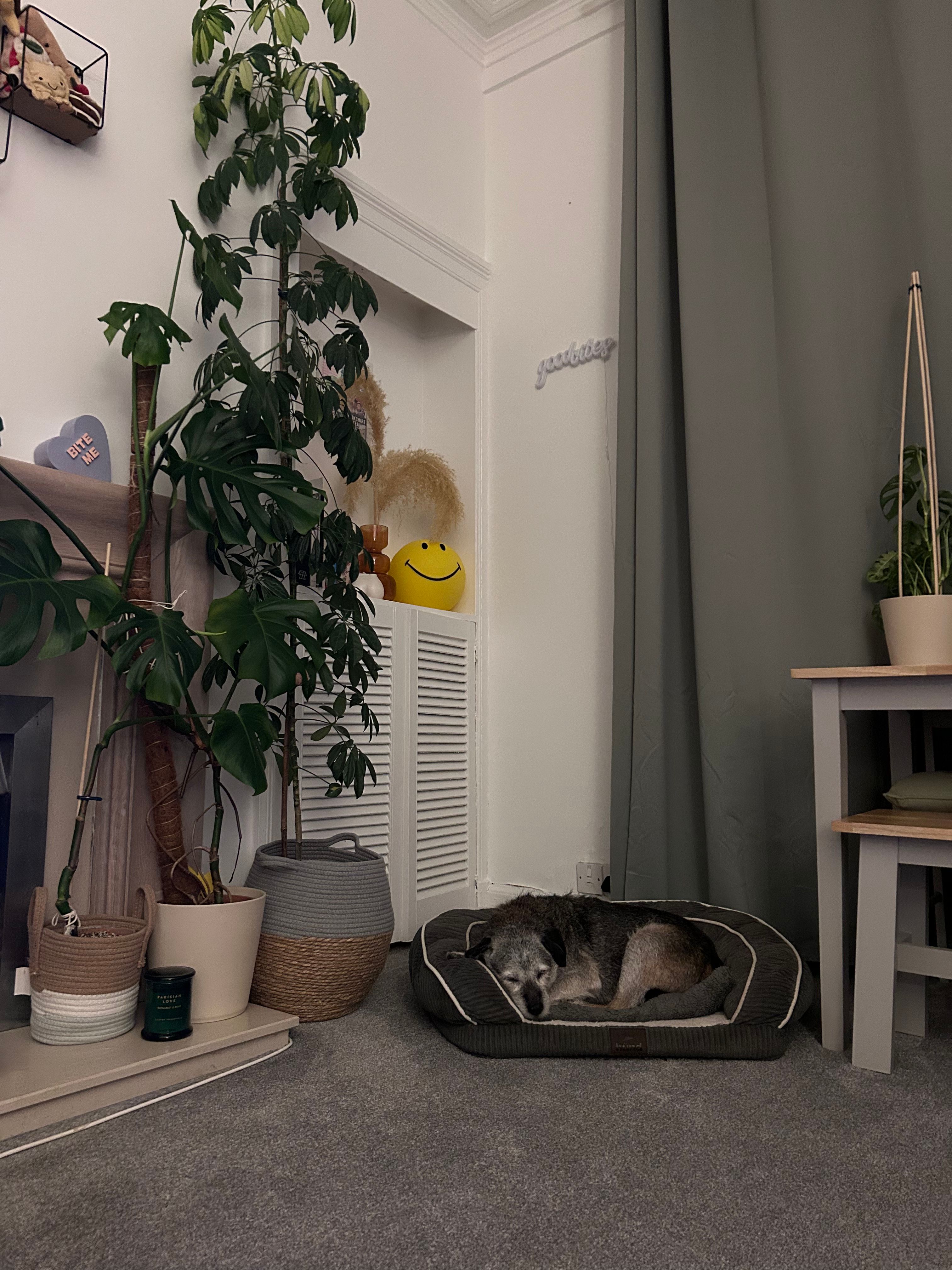 image-15