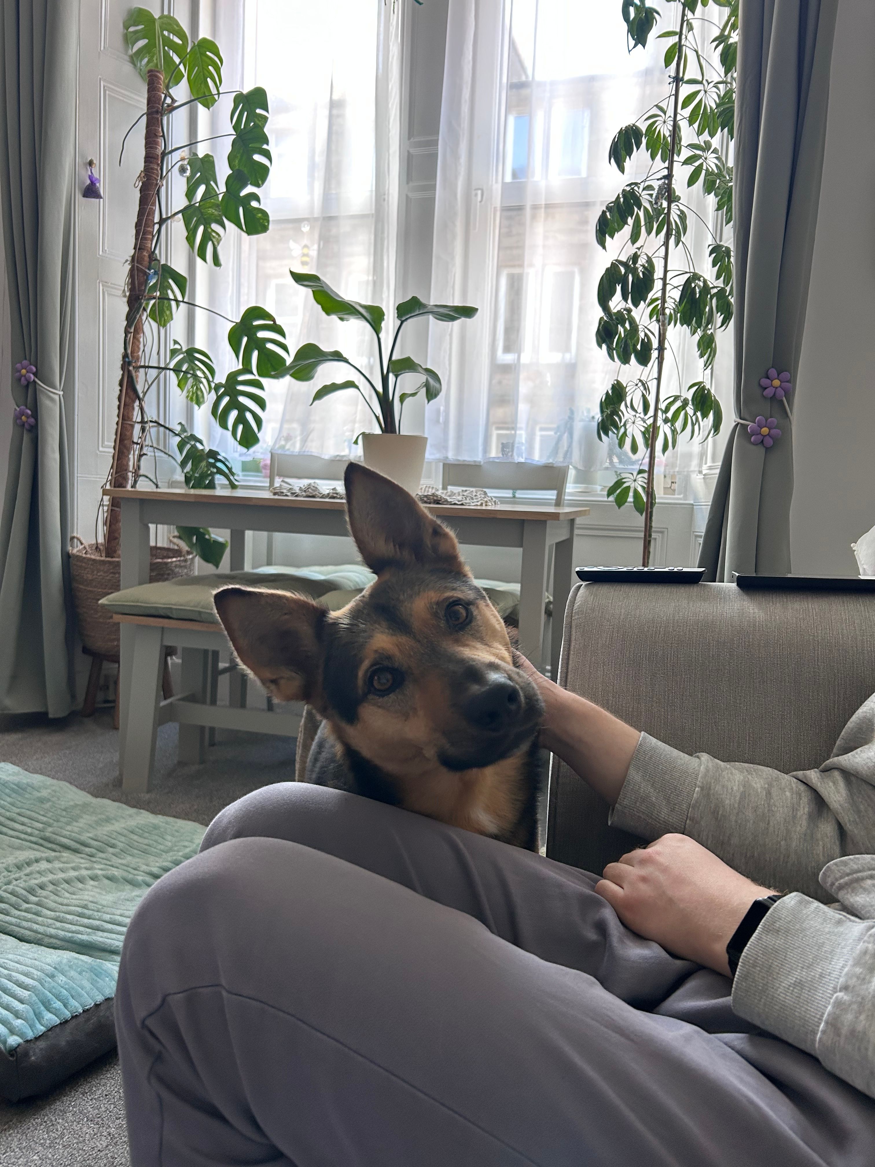 image-20