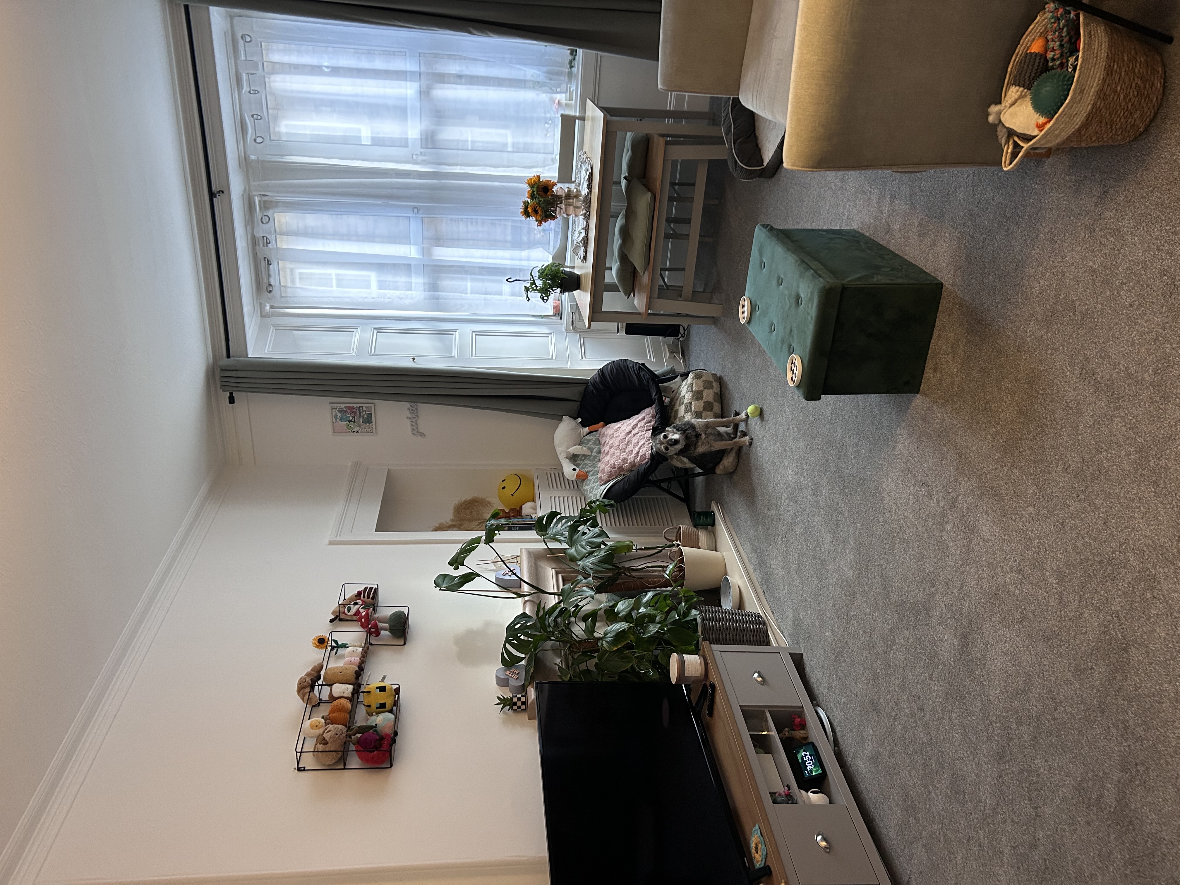image-13