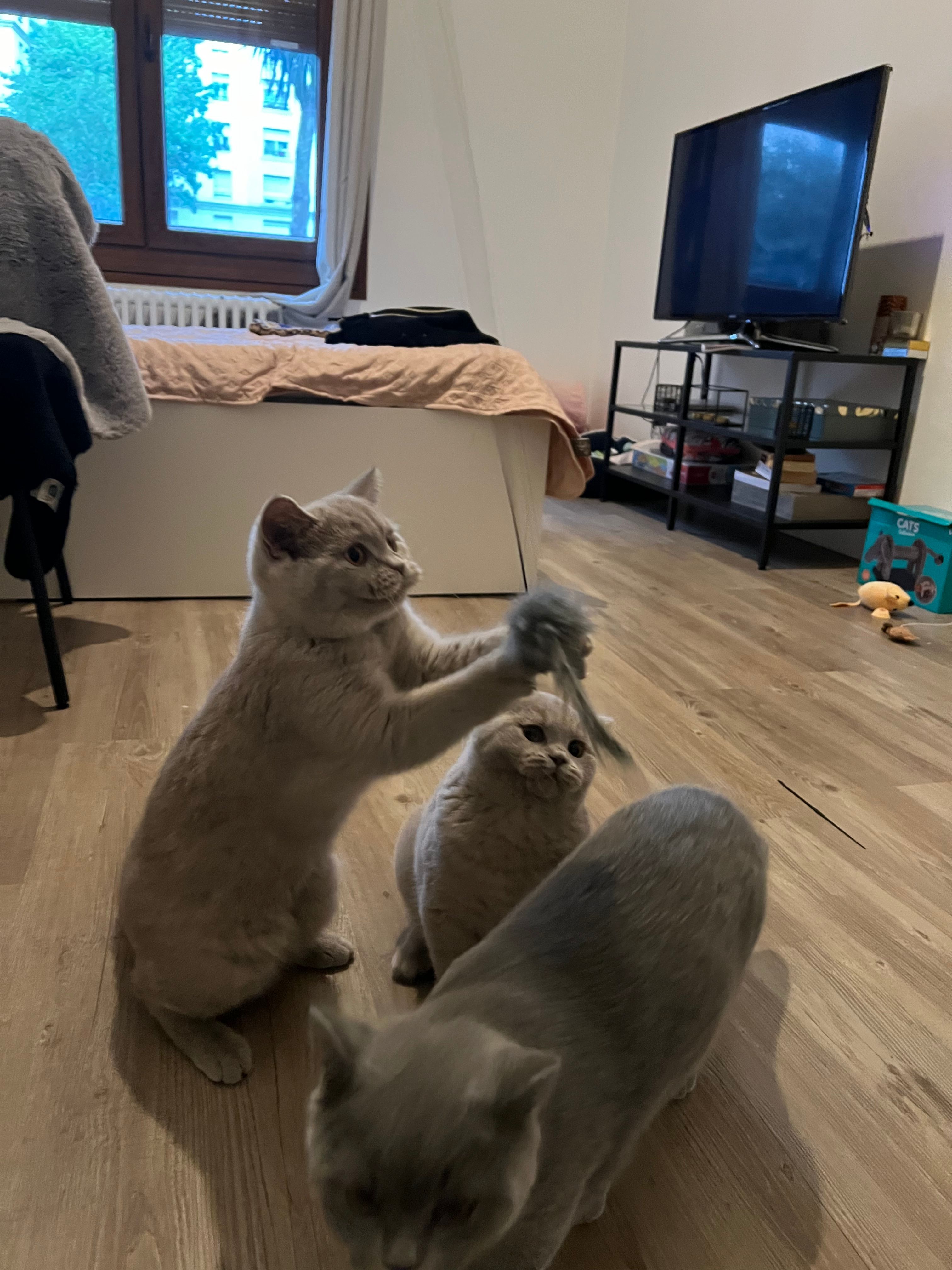 image-14
