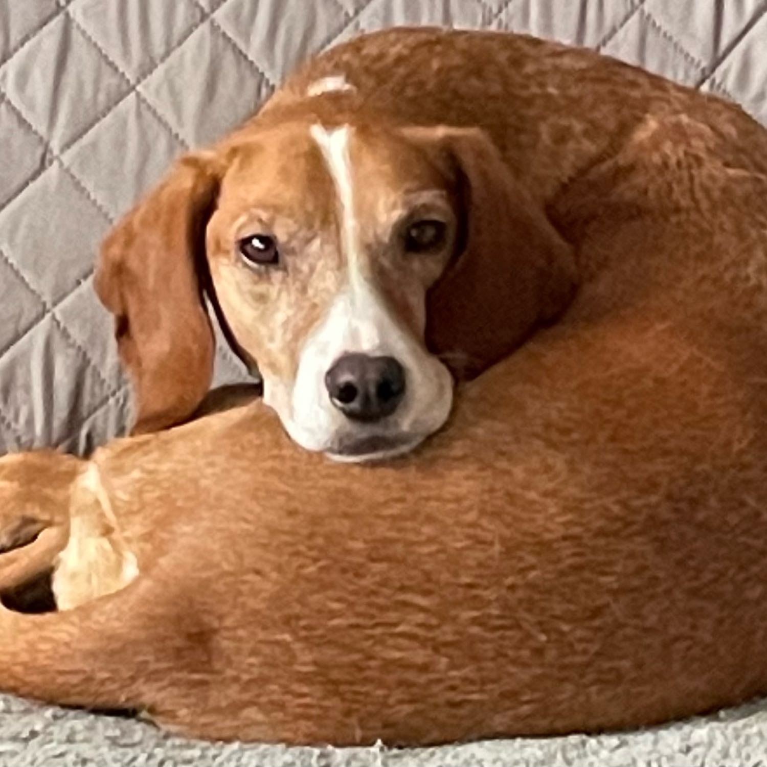 Ruby