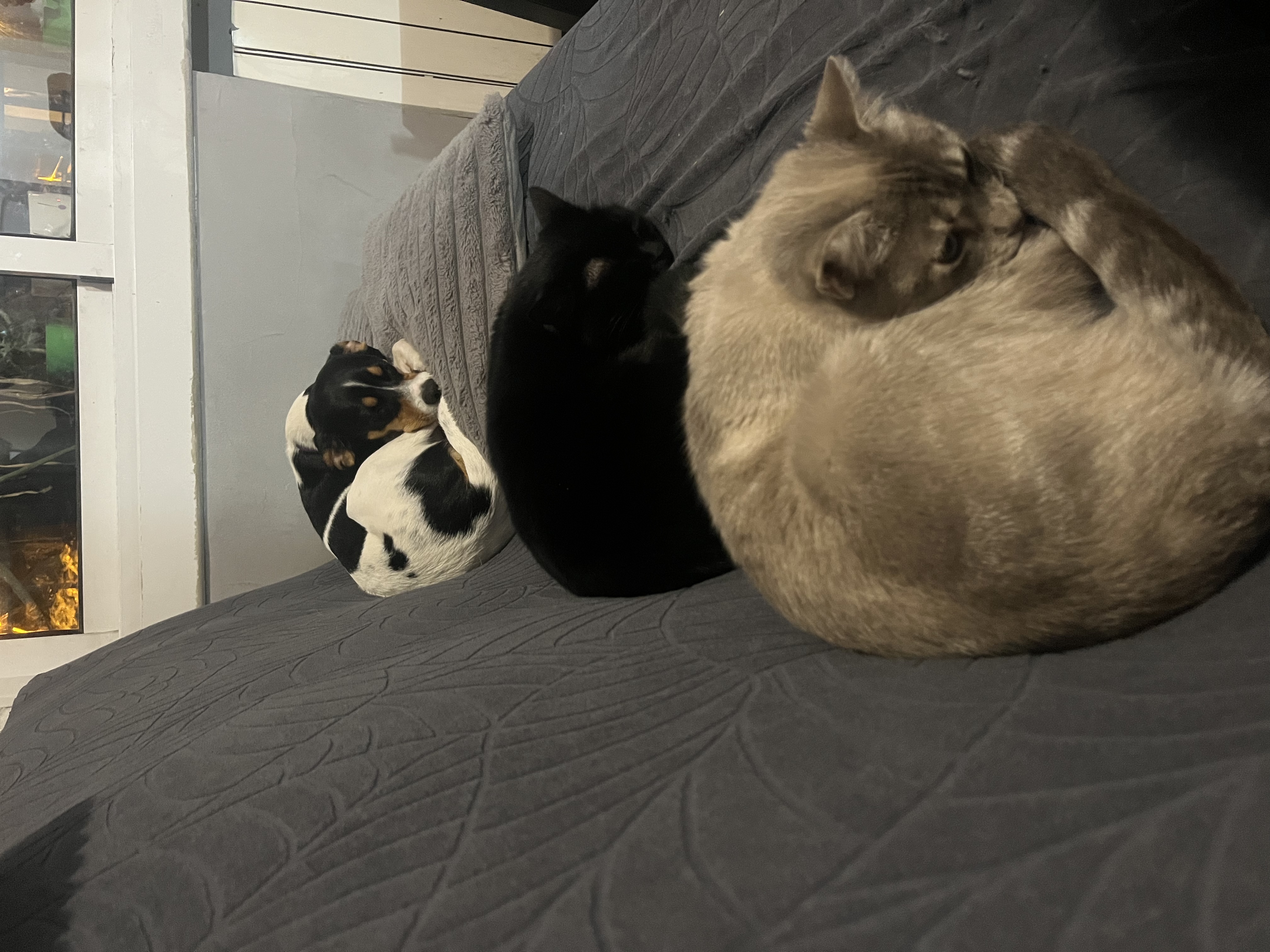 image-14
