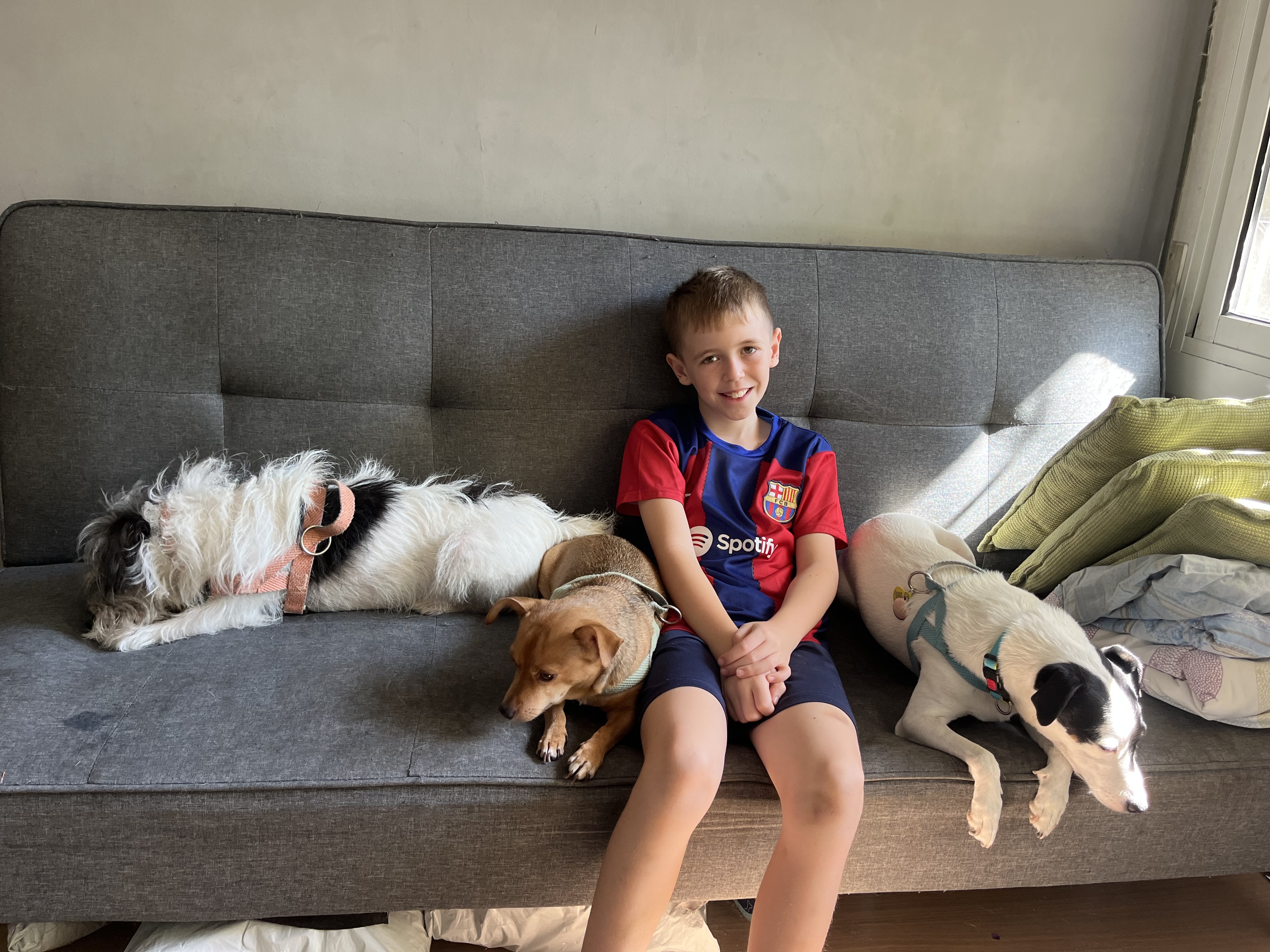 image-16