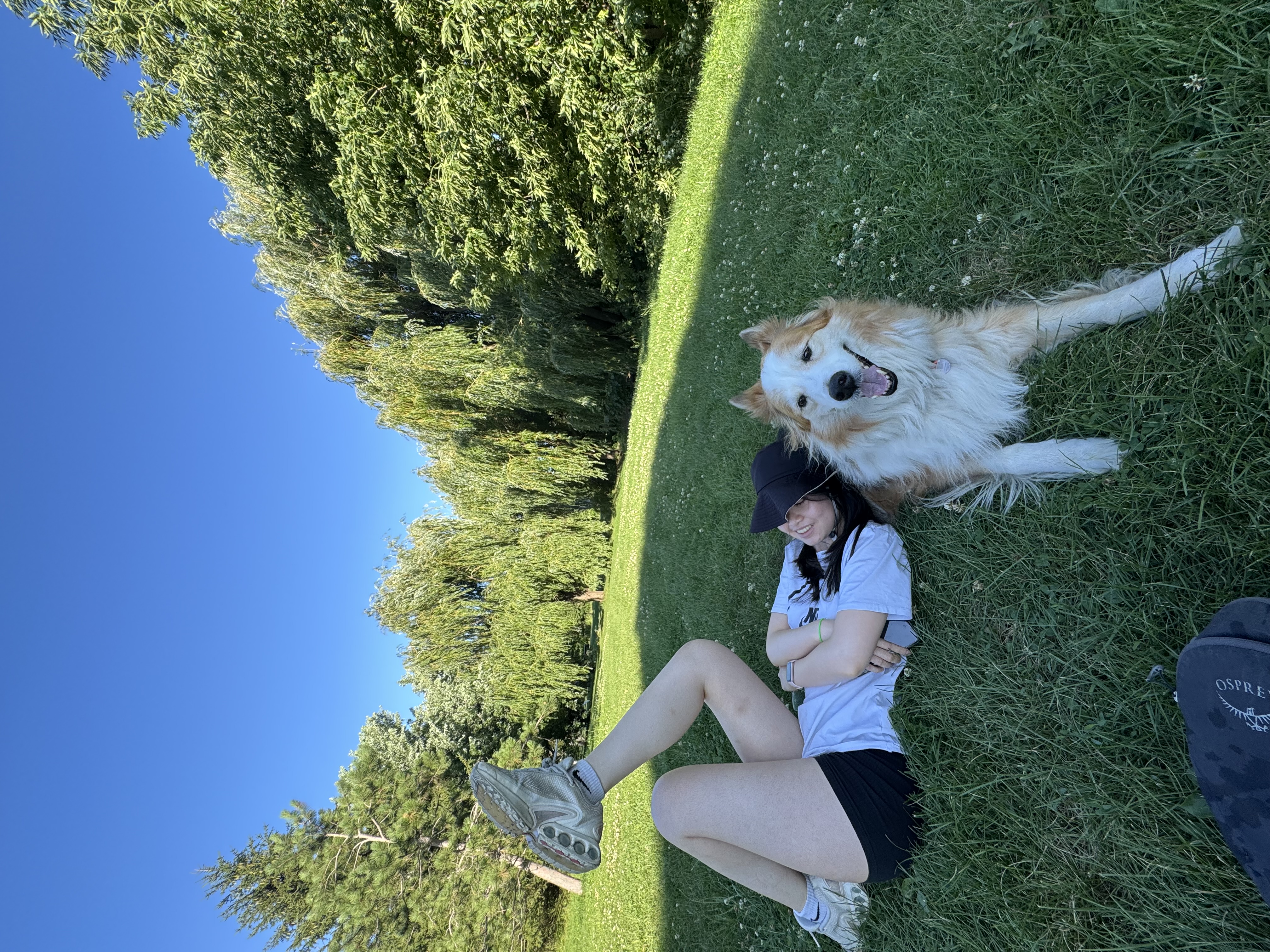 image-6