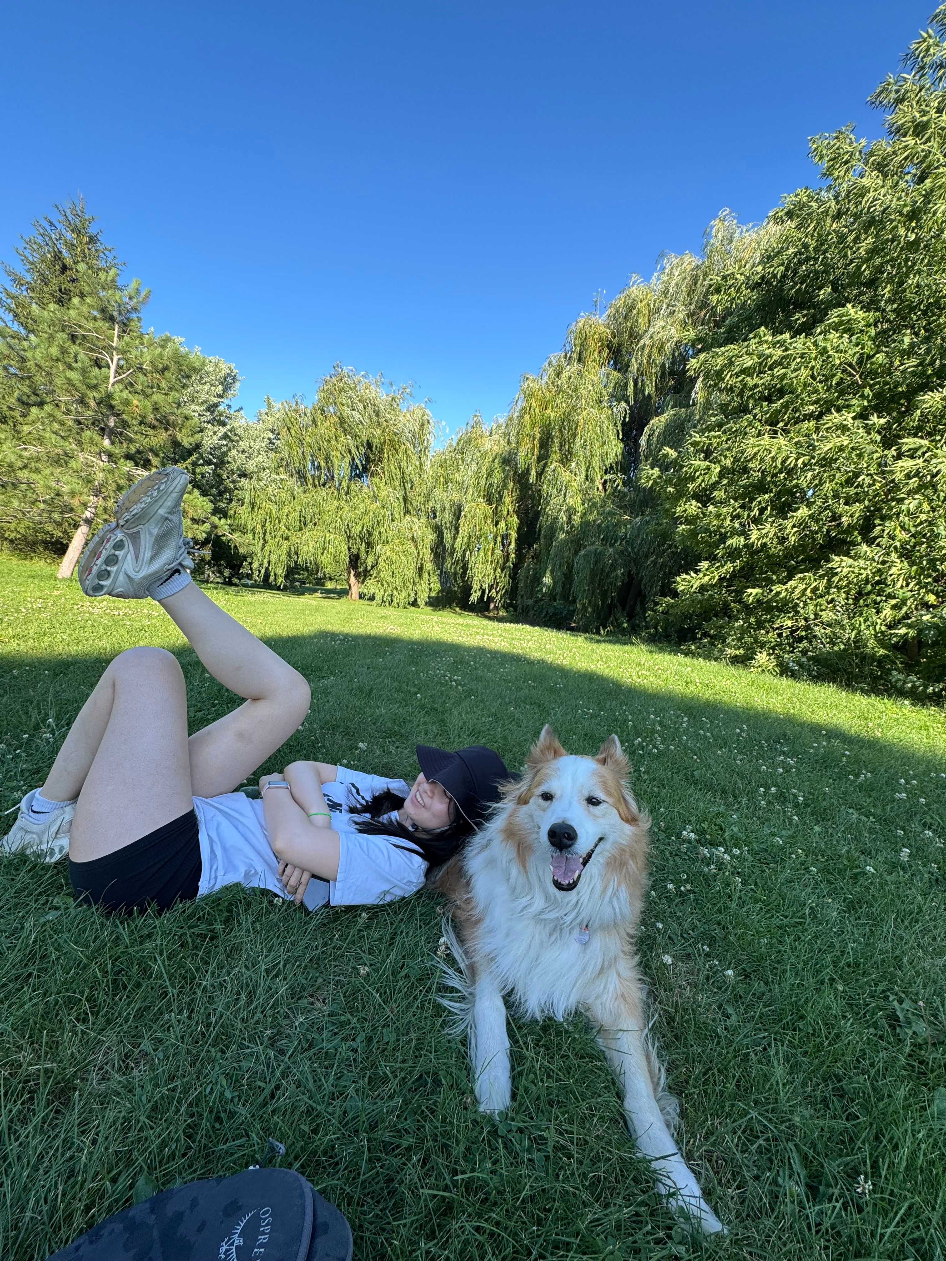 image-6