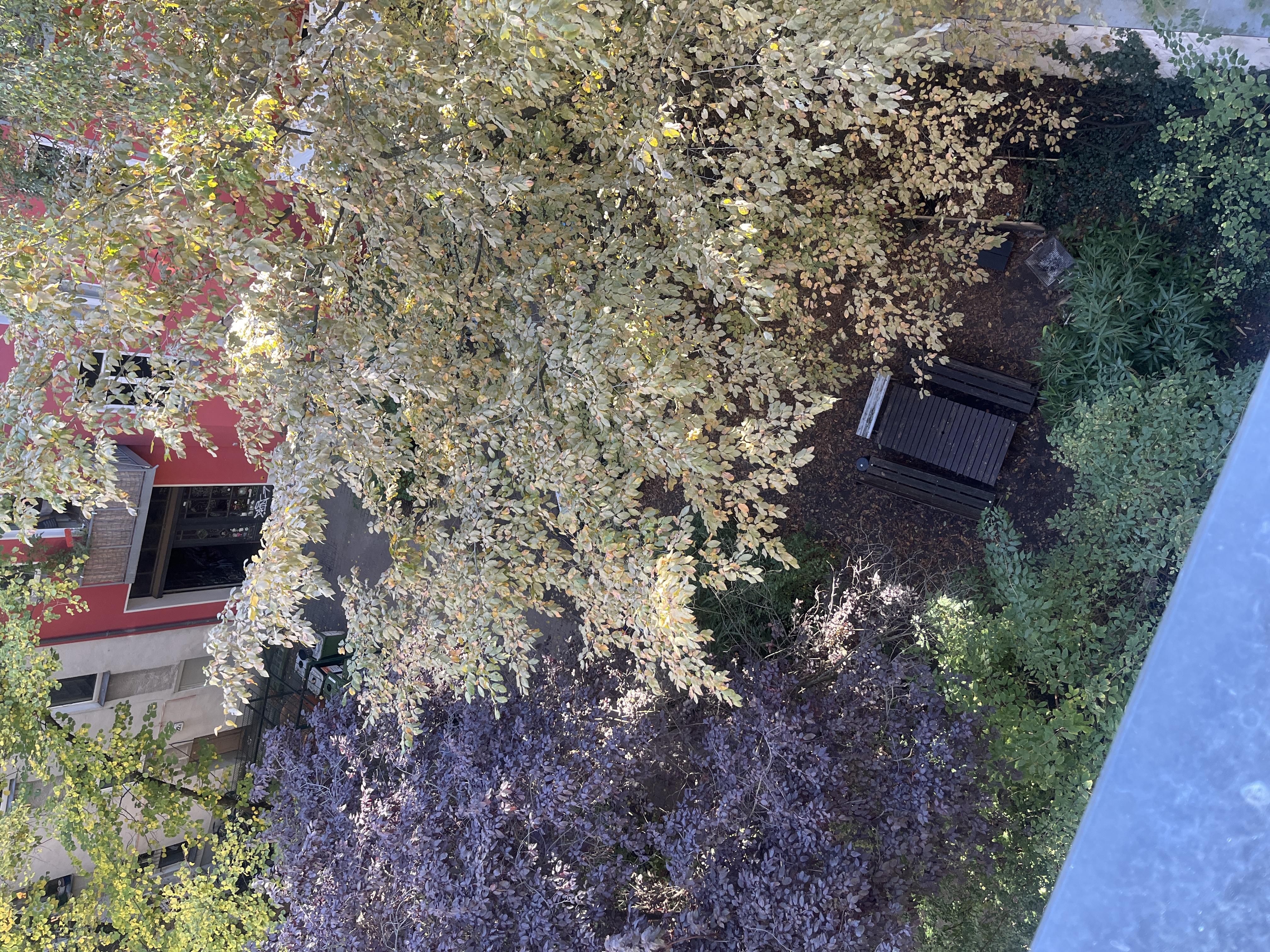 image-12