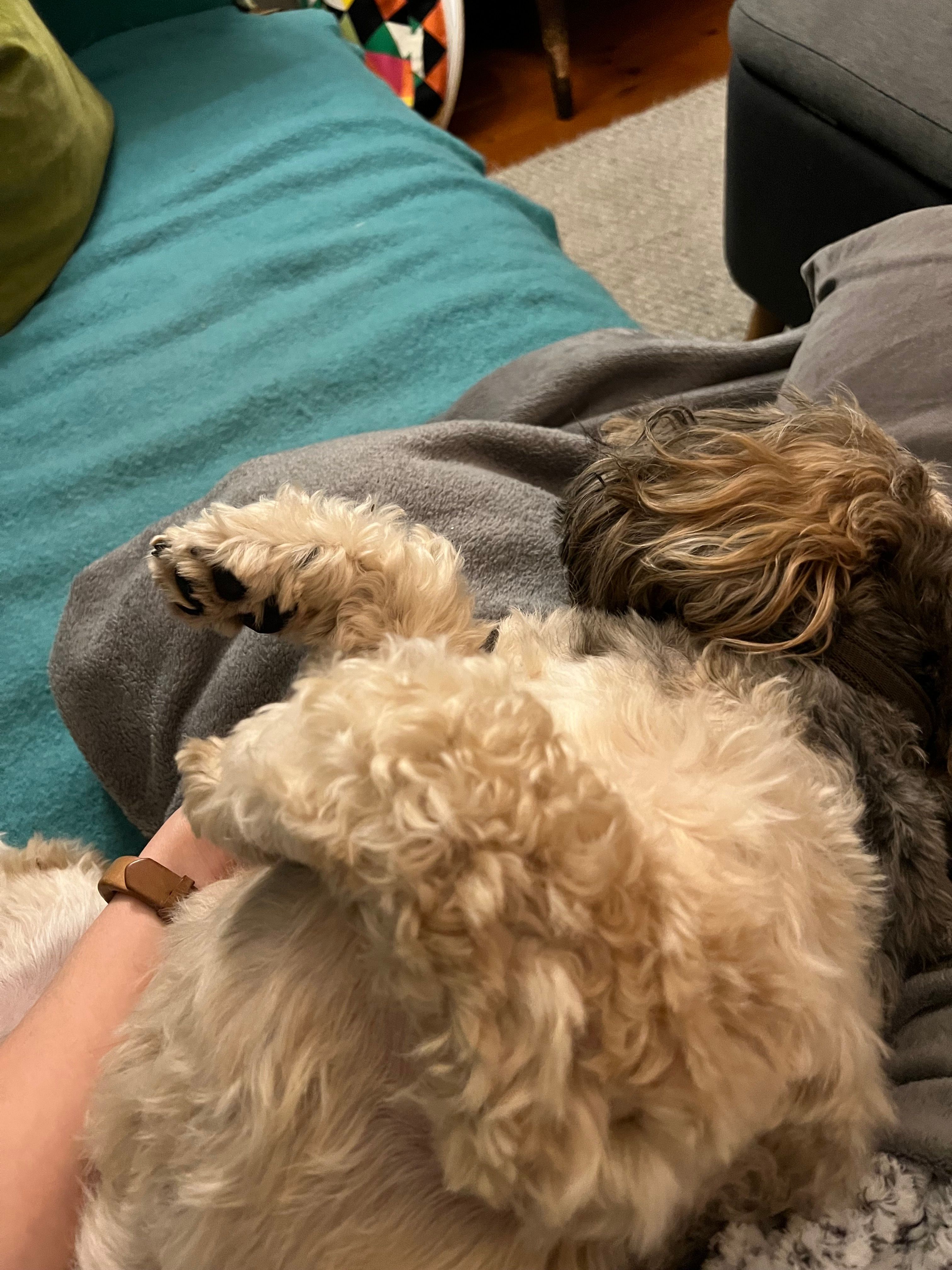 image-8