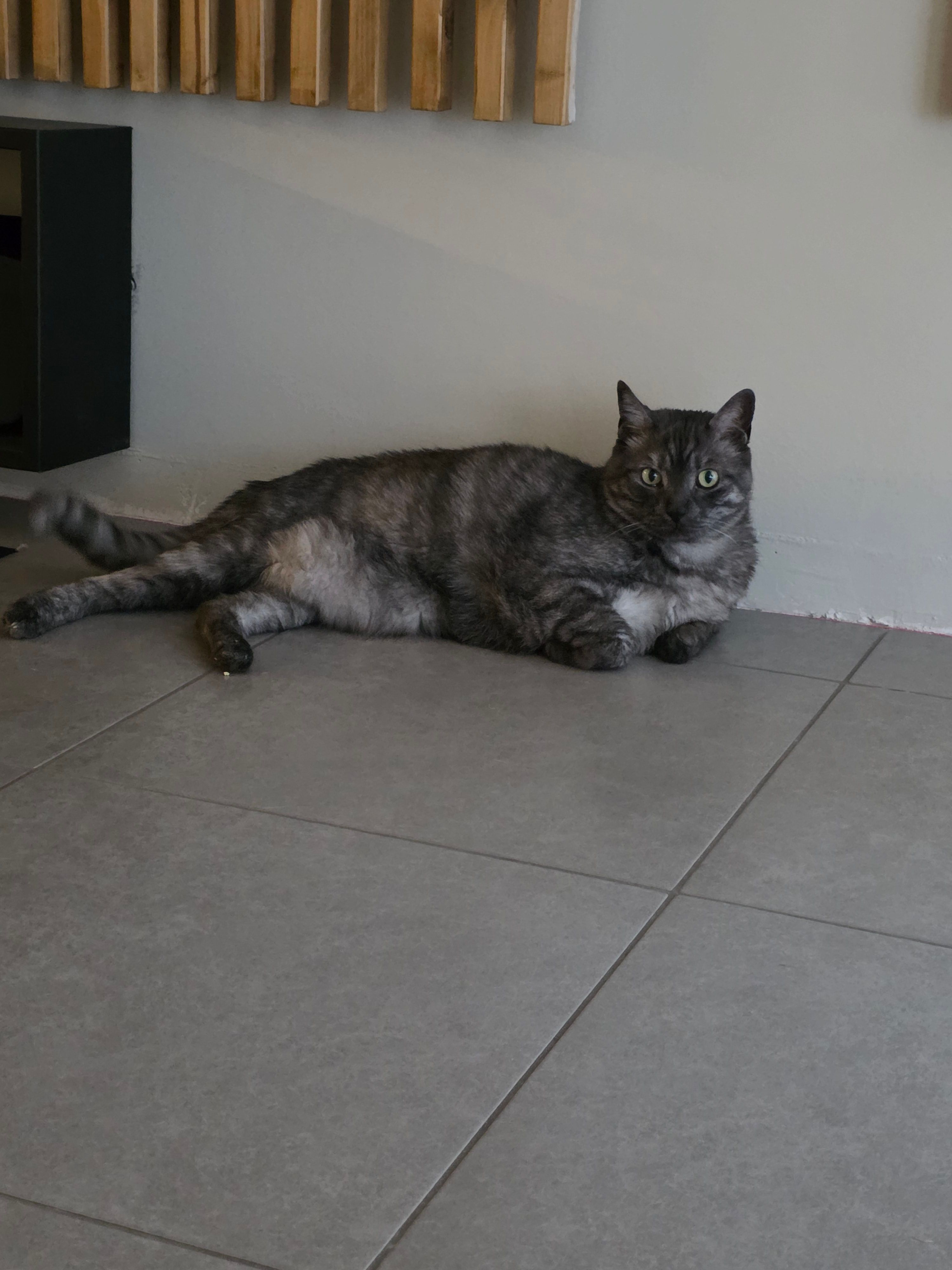 image-16